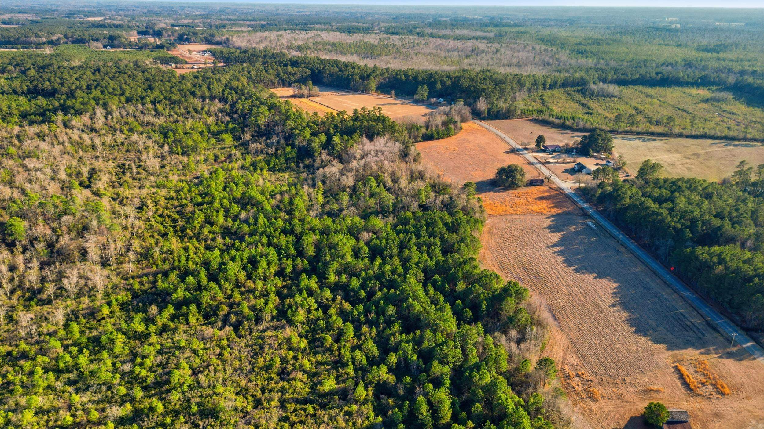 Tbd Black Creek Rd. Property Photo 17