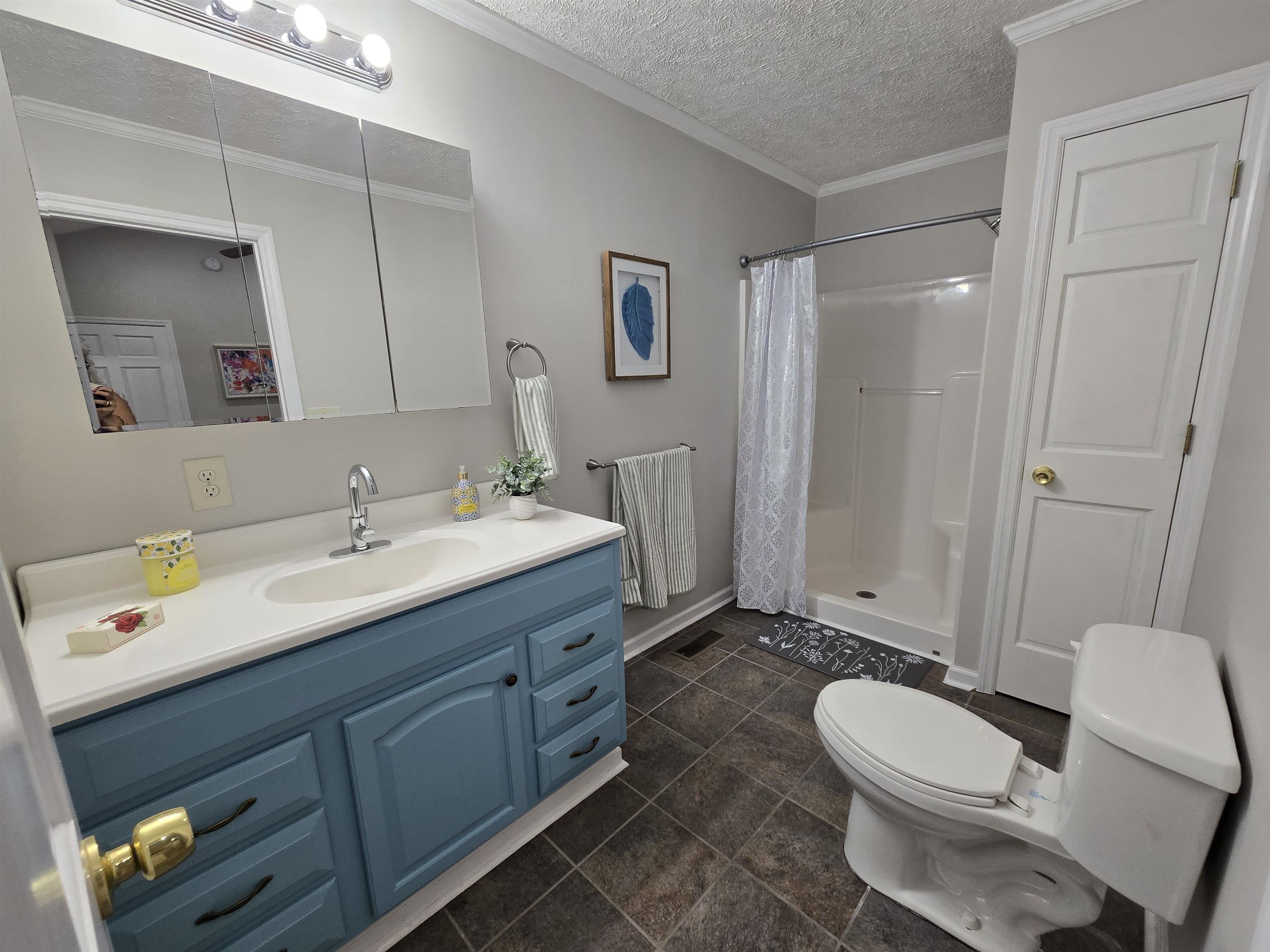 517 Porter Dr. Property Photo 46
