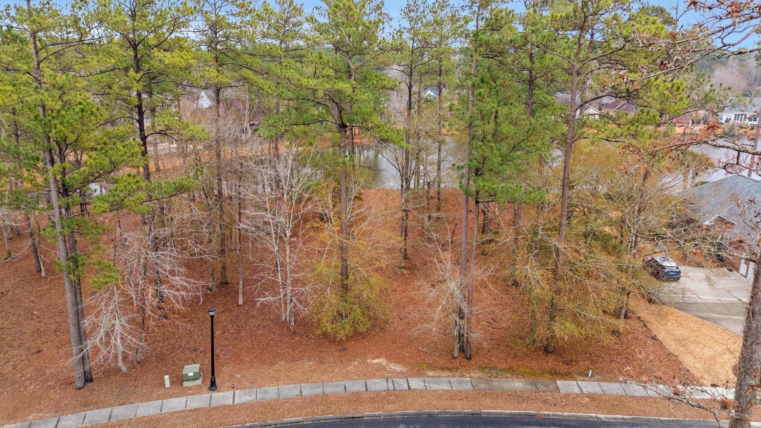 716 Mcduffie Dr. Property Photo 3