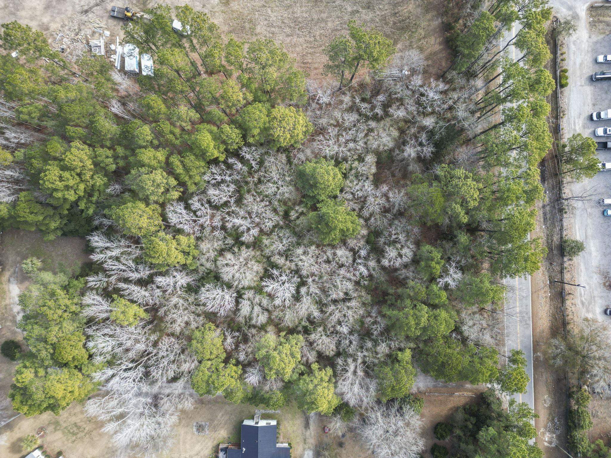 2352 Old Sanders Dr. Property Photo 7