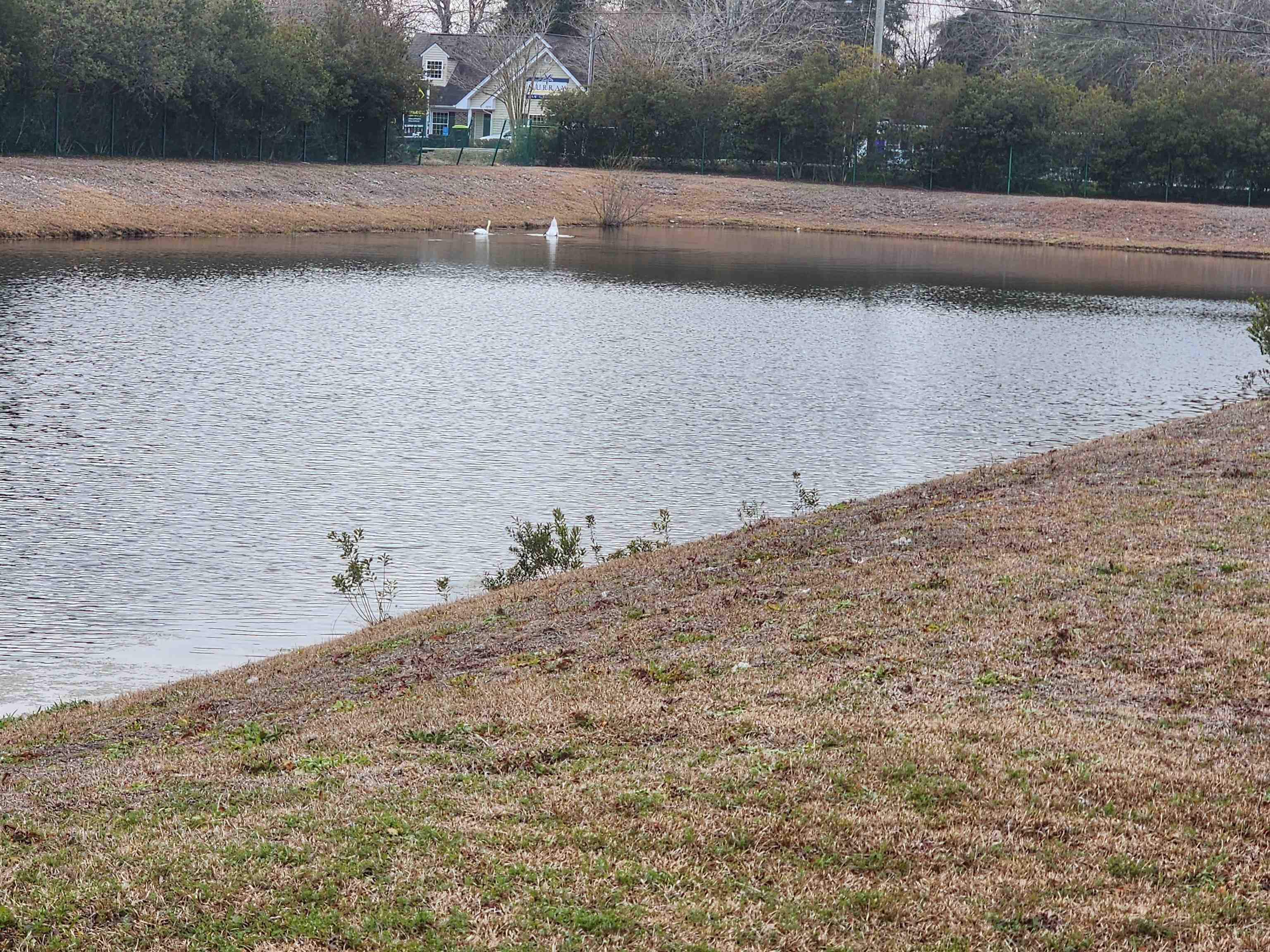 1356 Glenns Bay Rd. Property Photo 2