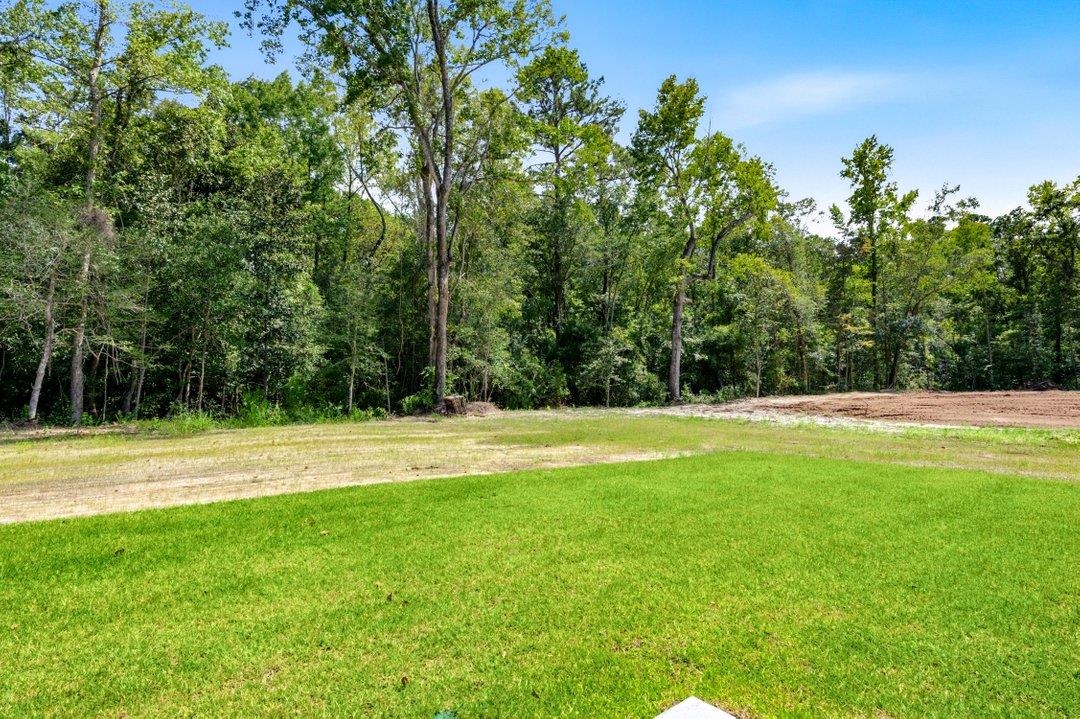 4263 Willow Springs Rd. Property Photo 39