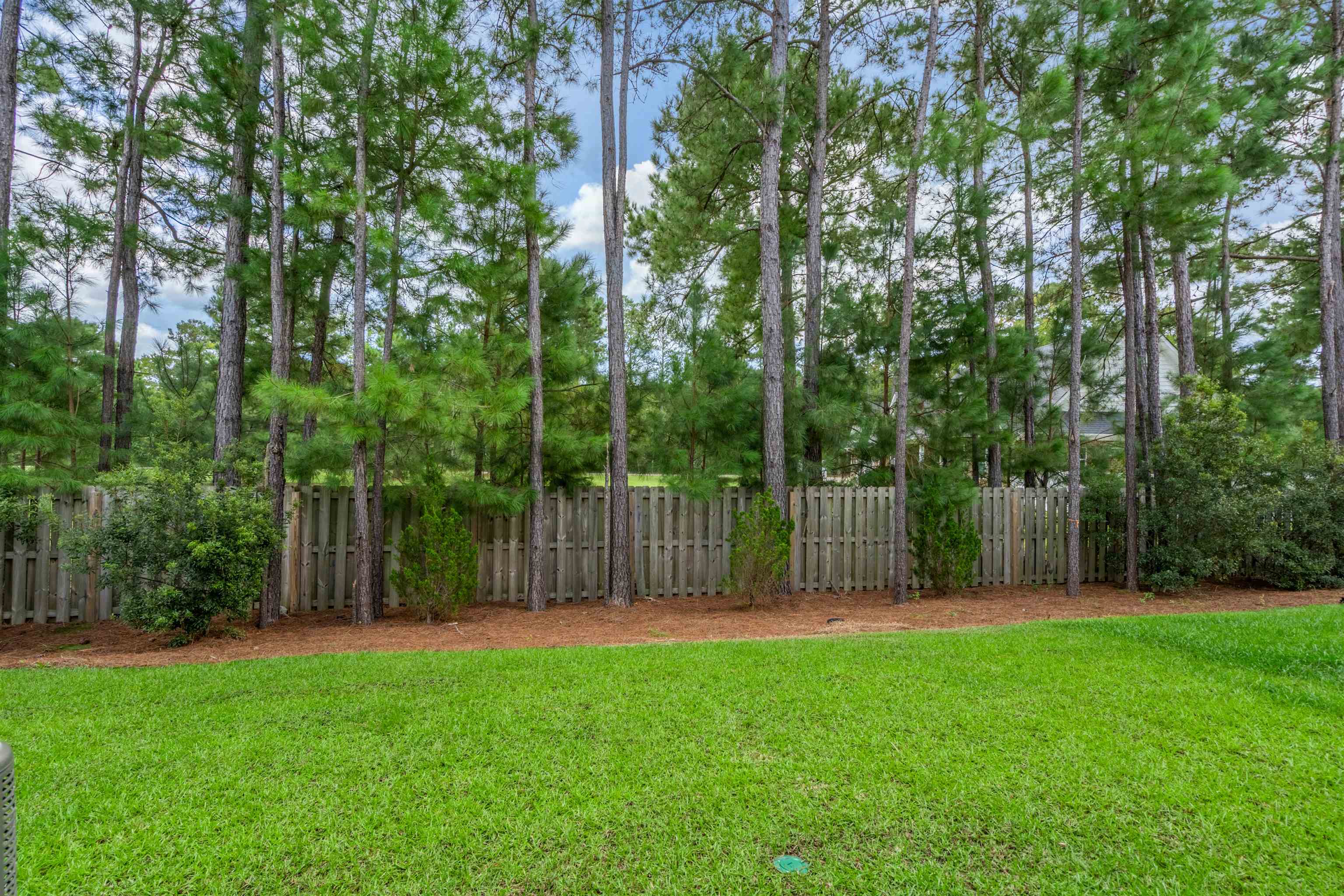 725 Palm Frond Way Property Photo 26