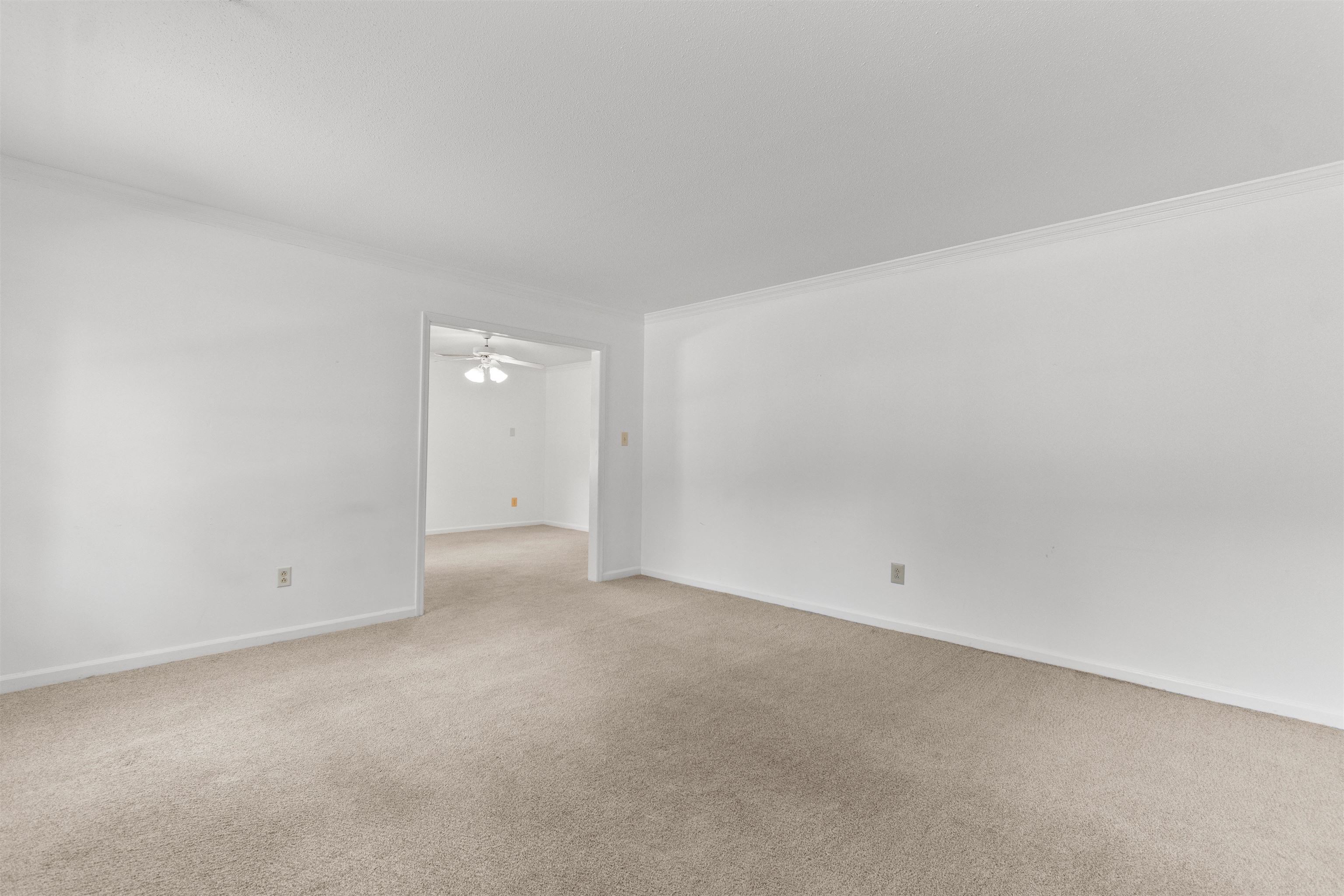2905 Whites Bridge Dr. Property Photo 12