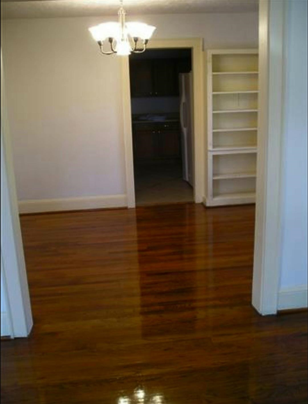 415 Live Oak St. Property Photo 4