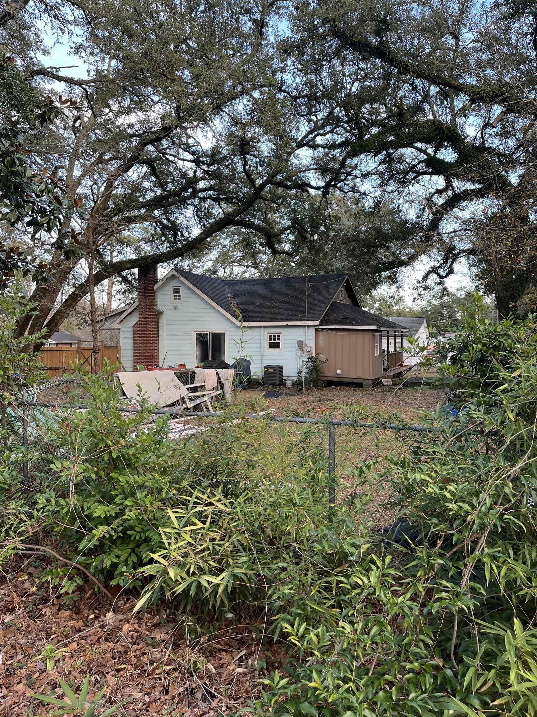 415 Live Oak St. Property Photo 19