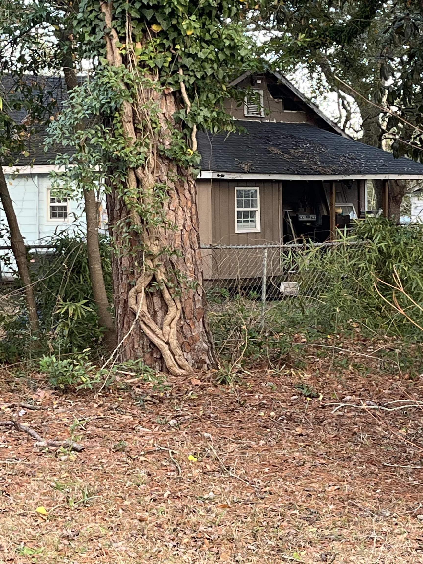 415 Live Oak St. Property Photo 21