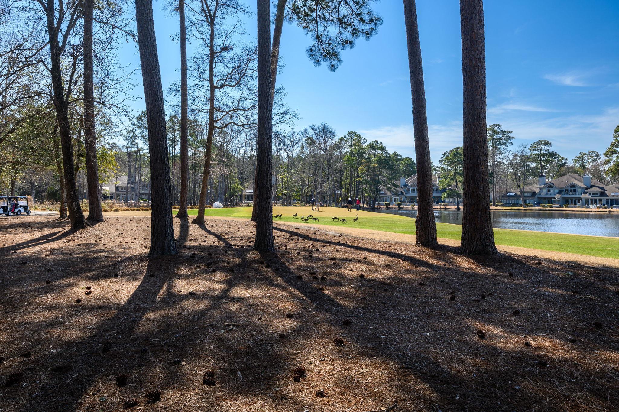 1822 Topsail Ln. Property Photo 33