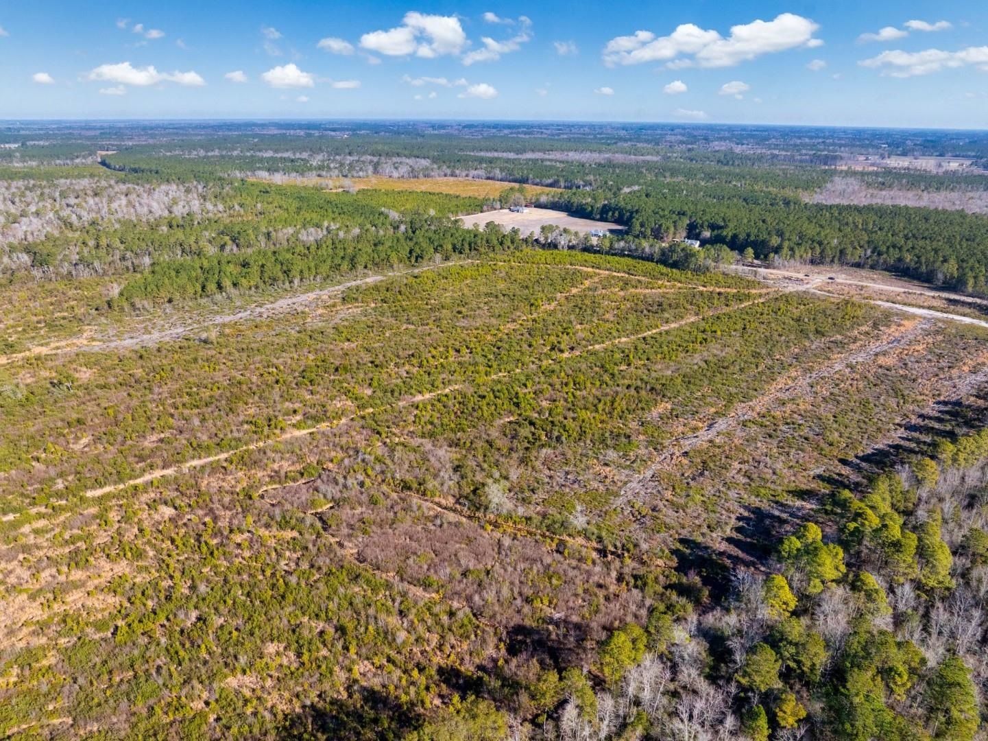 100 Acres Fifteen Mile Bay Rd. Property Photo 8