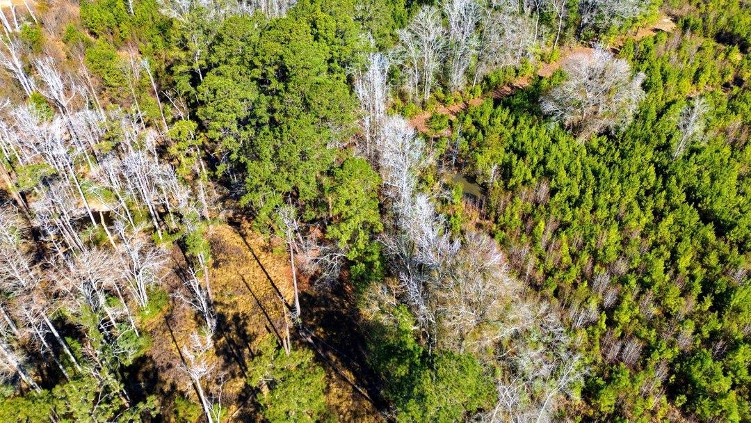 1850 Pitch Landing Rd. Property Photo 52