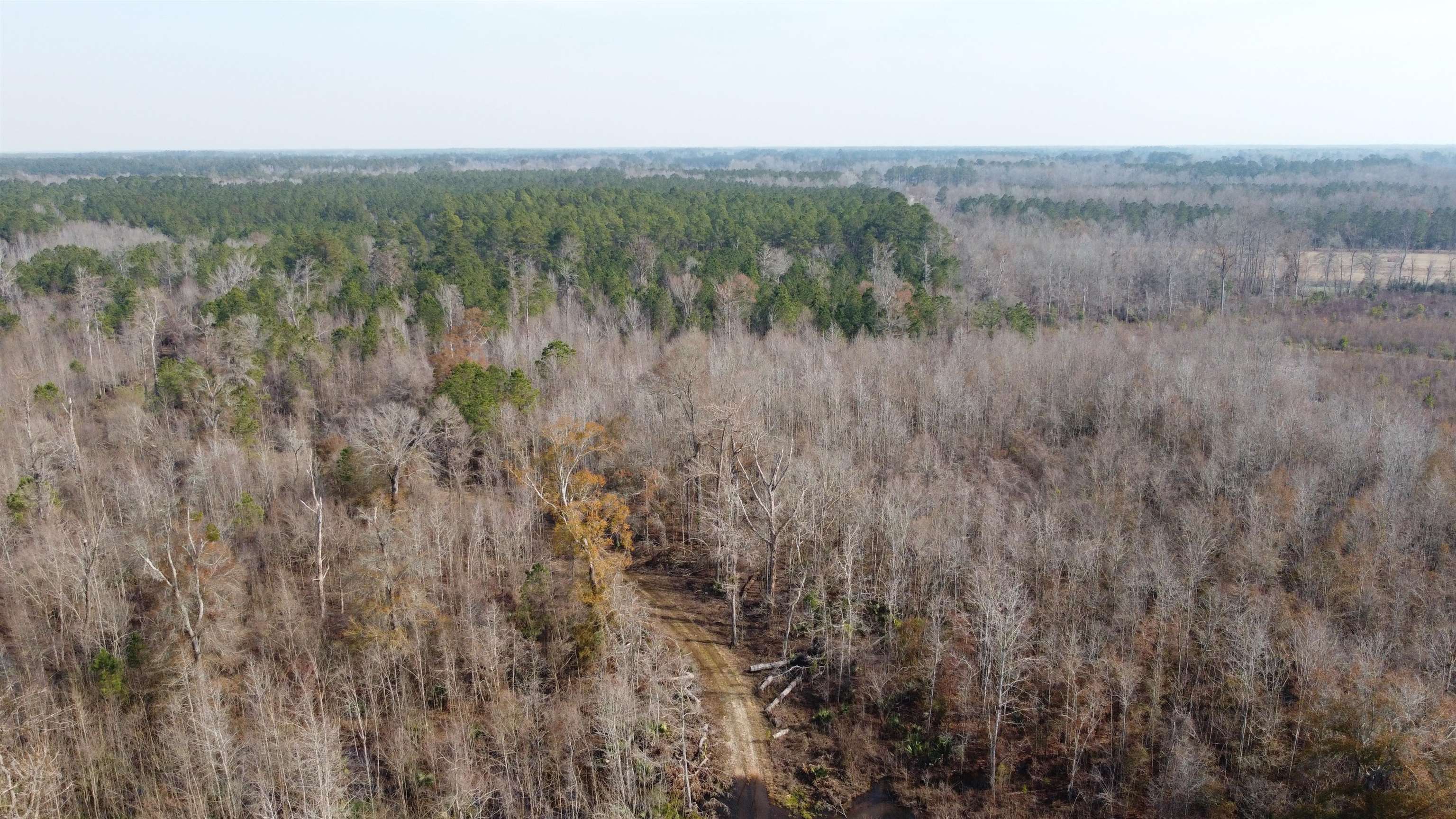 Tbd Hunters Chapel Rd Property Photo 3