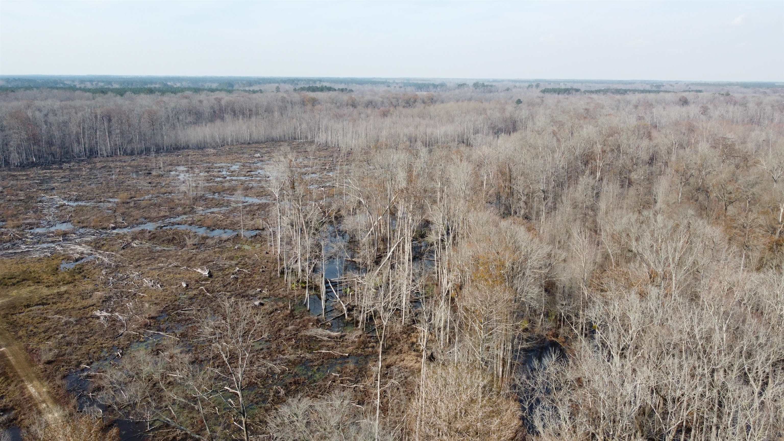 Tbd Hunters Chapel Rd Property Photo 4