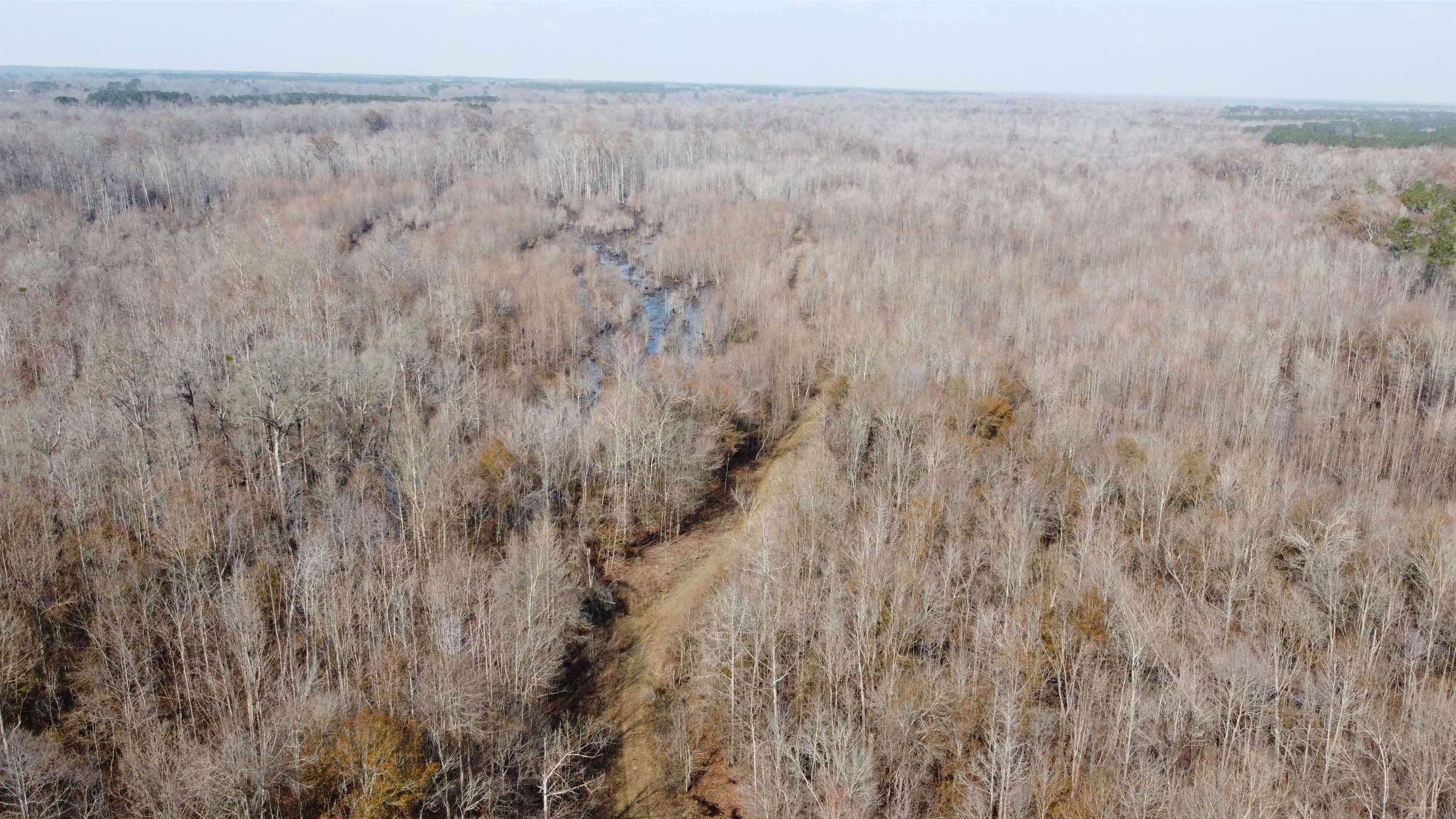 Tbd Hunters Chapel Rd Property Photo 5