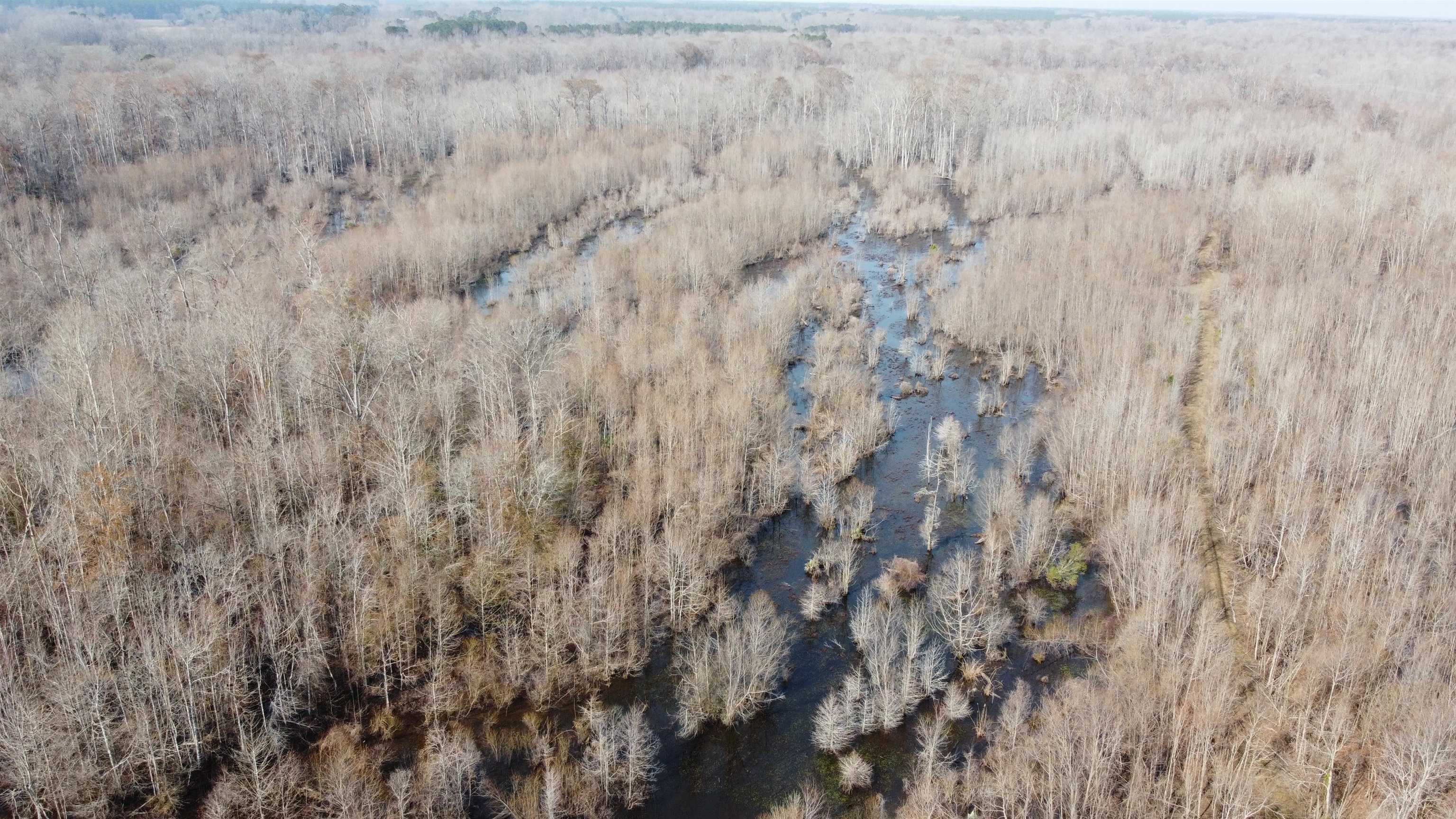 Tbd Hunters Chapel Rd Property Photo 6