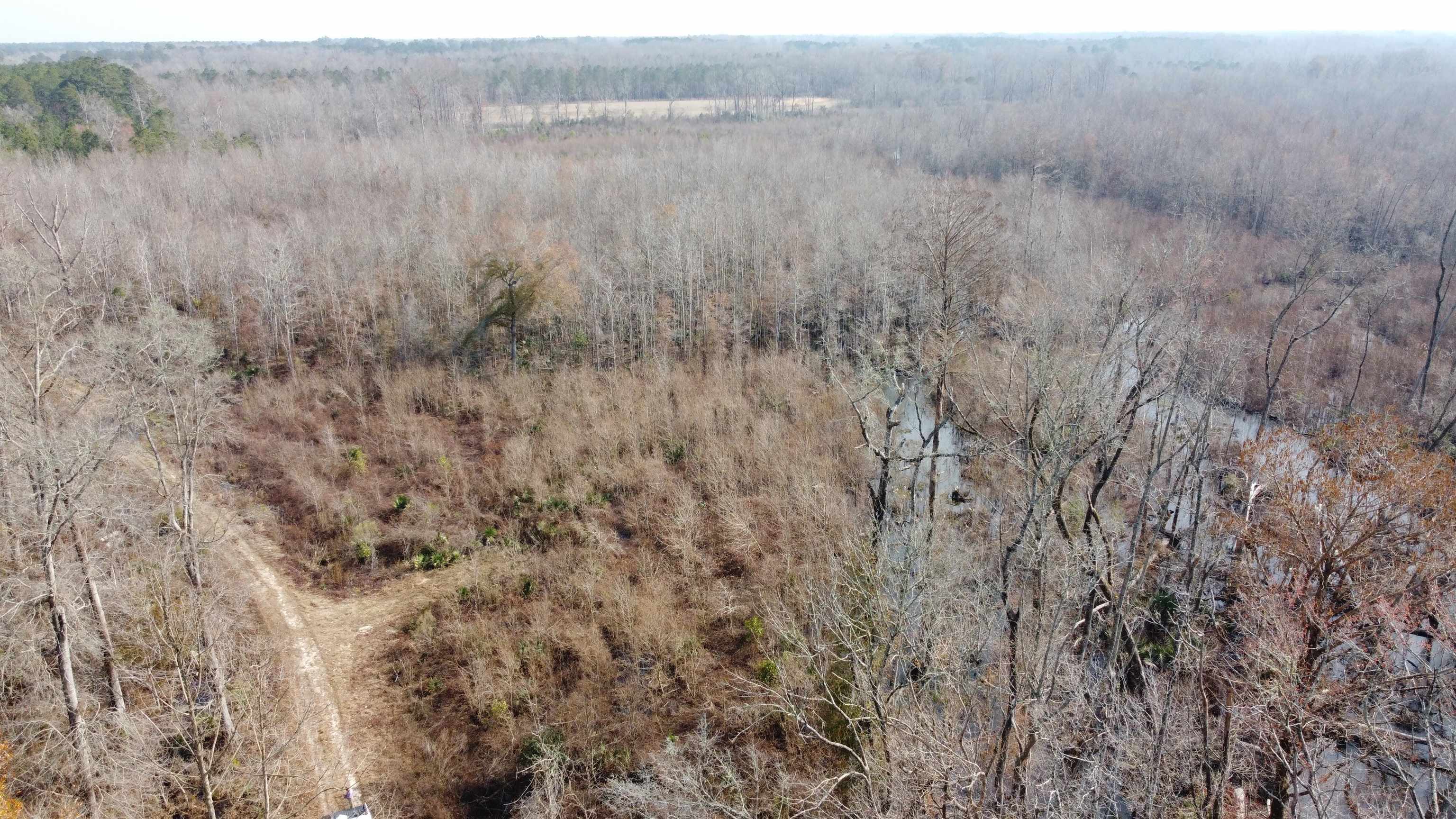 Tbd Hunters Chapel Rd Property Photo 7