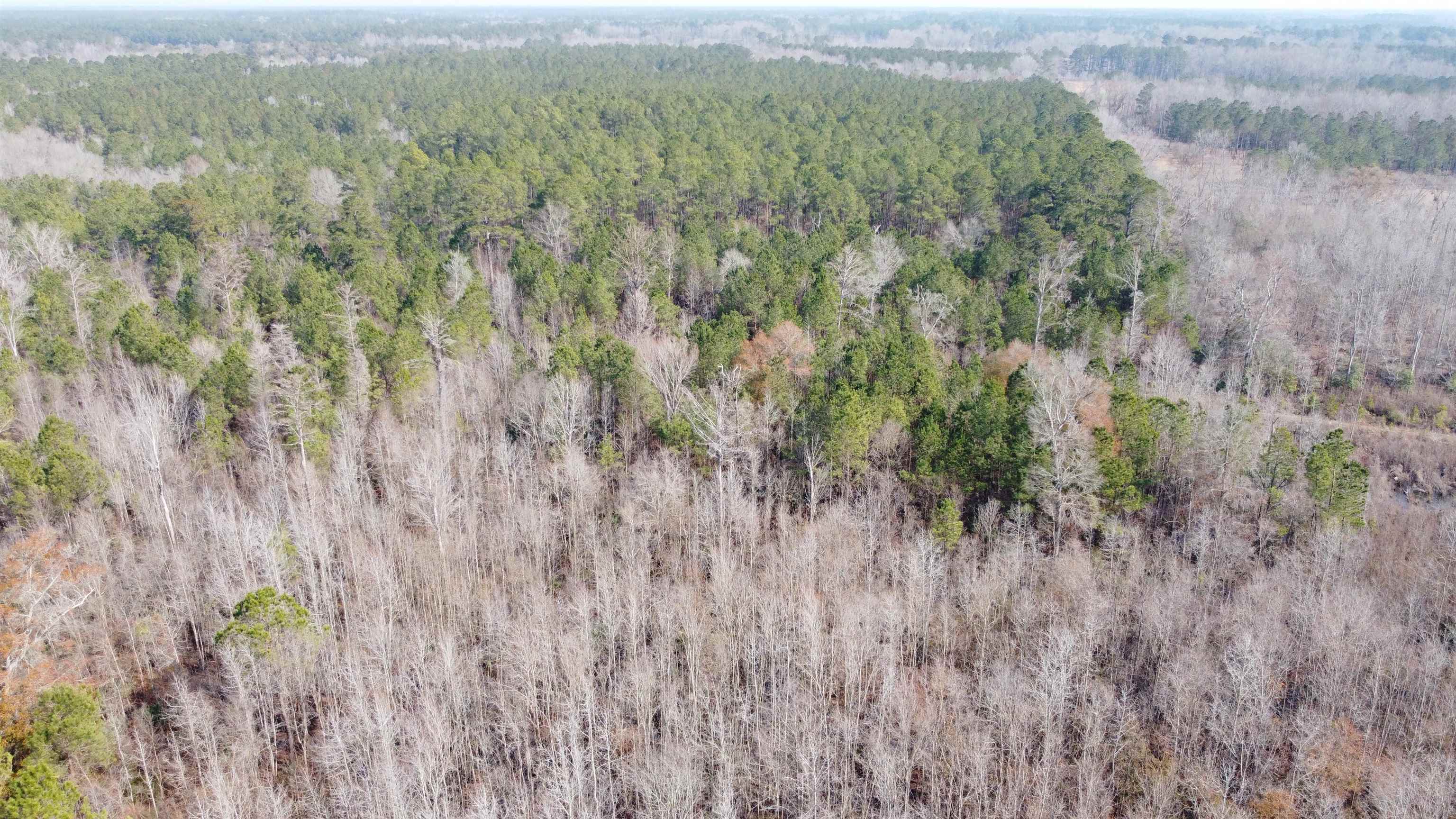 Tbd Hunters Chapel Rd Property Photo 8