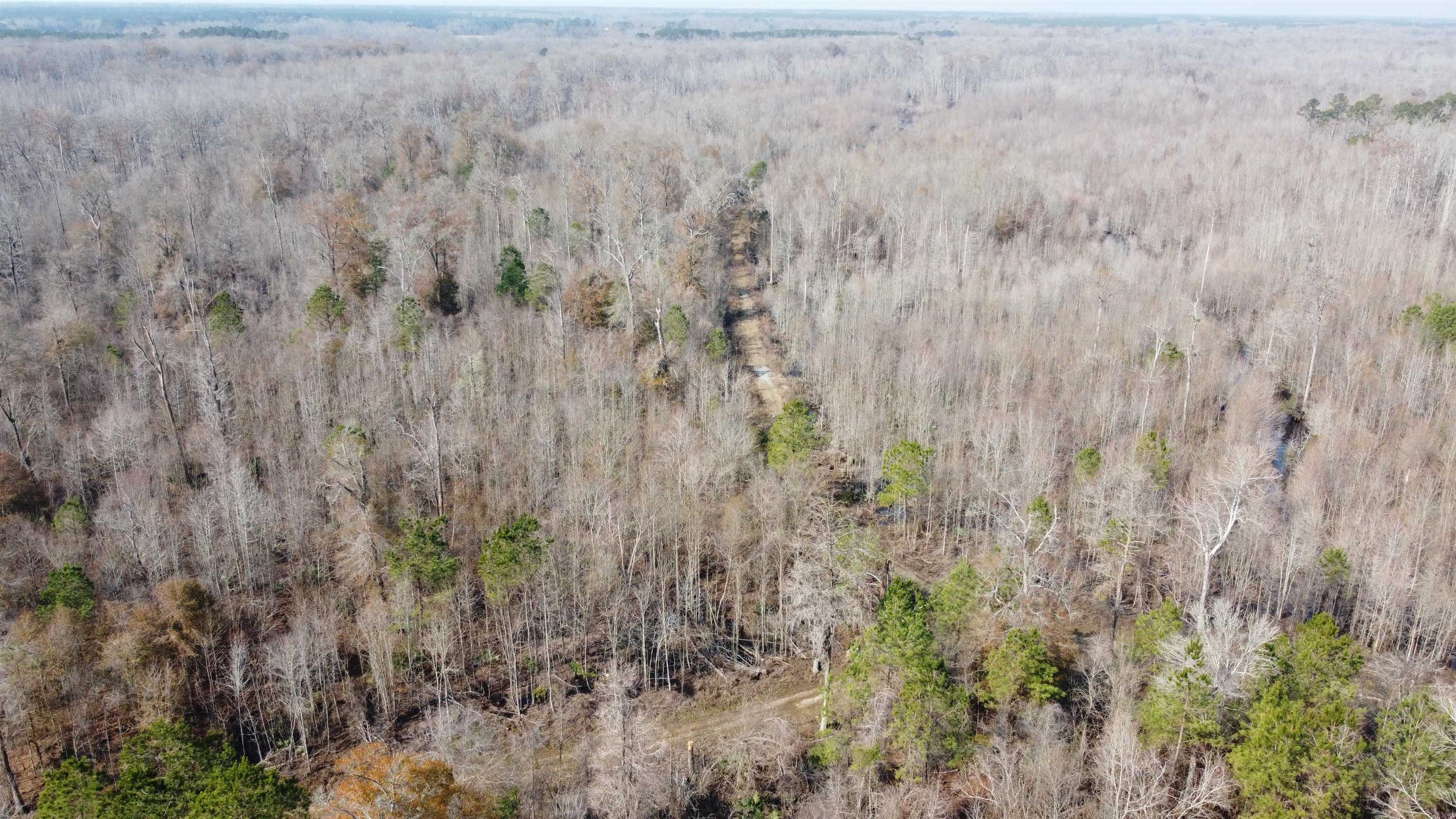 Tbd Hunters Chapel Rd Property Photo 9