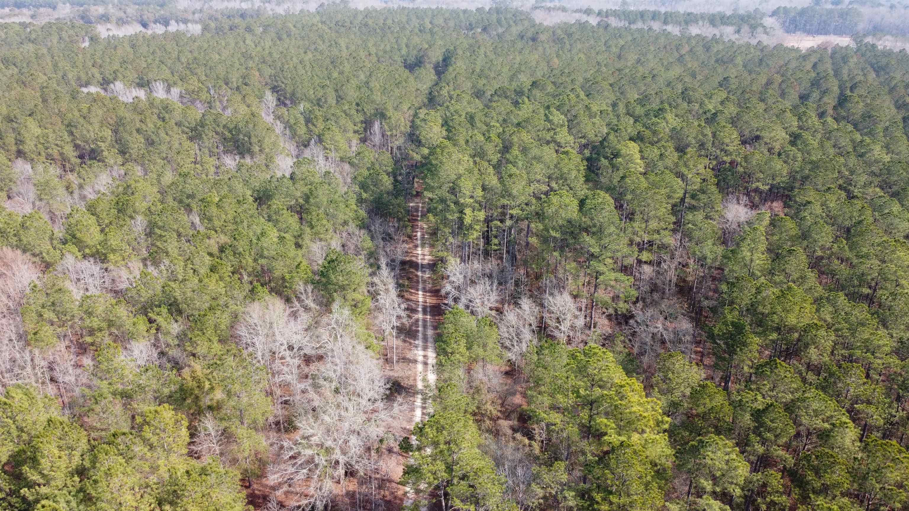 Tbd Hunters Chapel Rd Property Photo 11