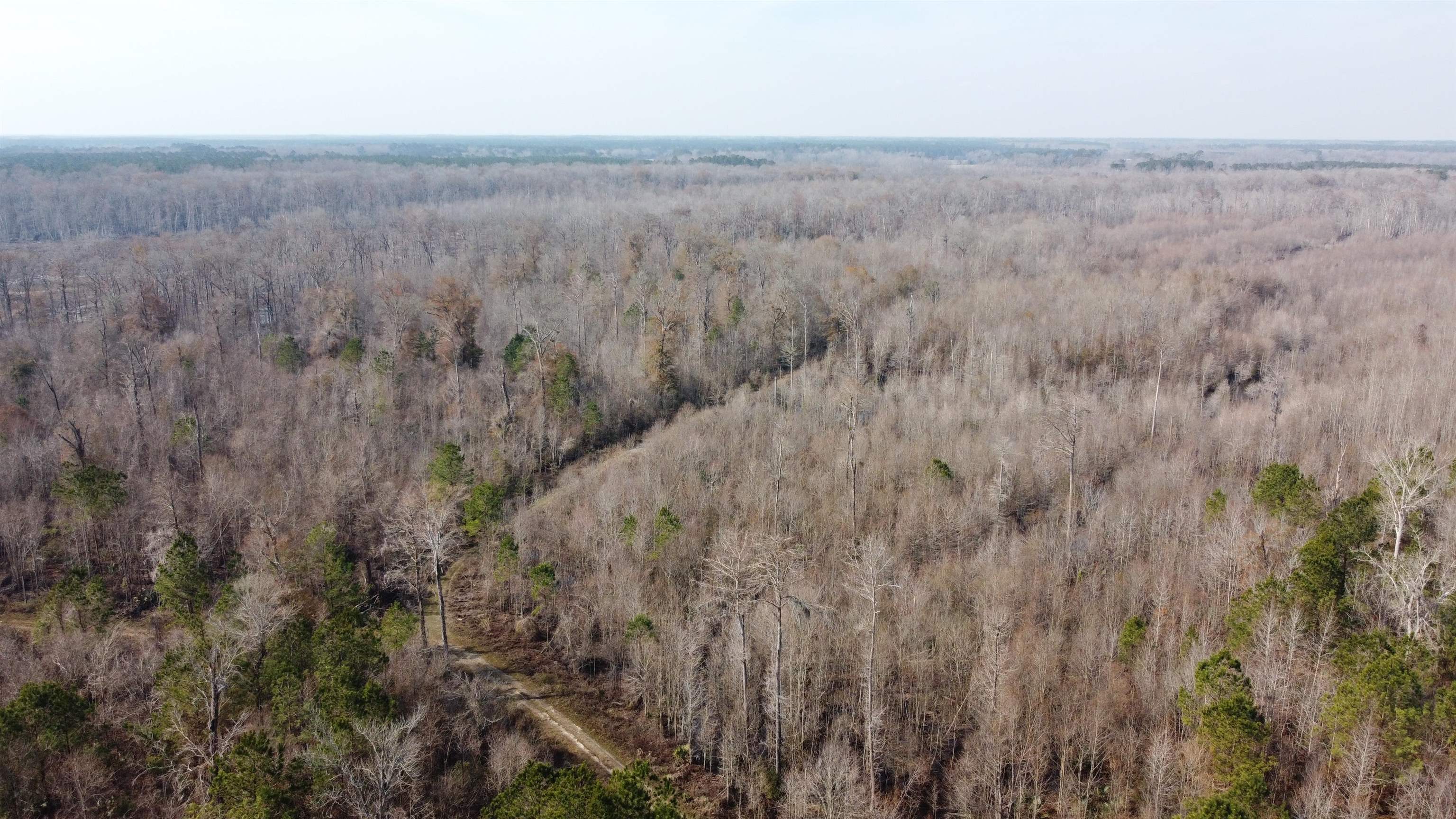 Tbd Hunters Chapel Rd Property Photo 12
