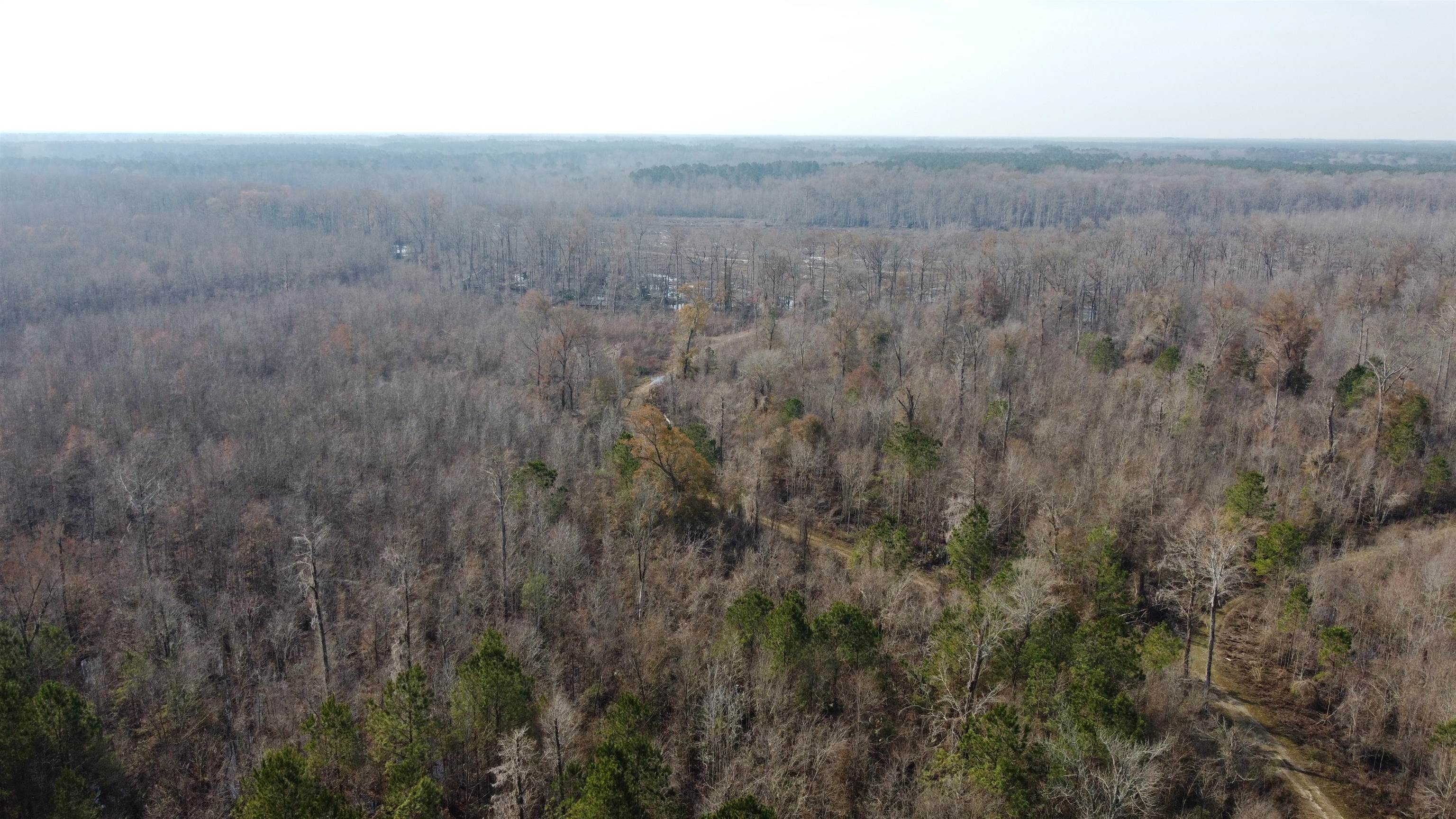 Tbd Hunters Chapel Rd Property Photo 13