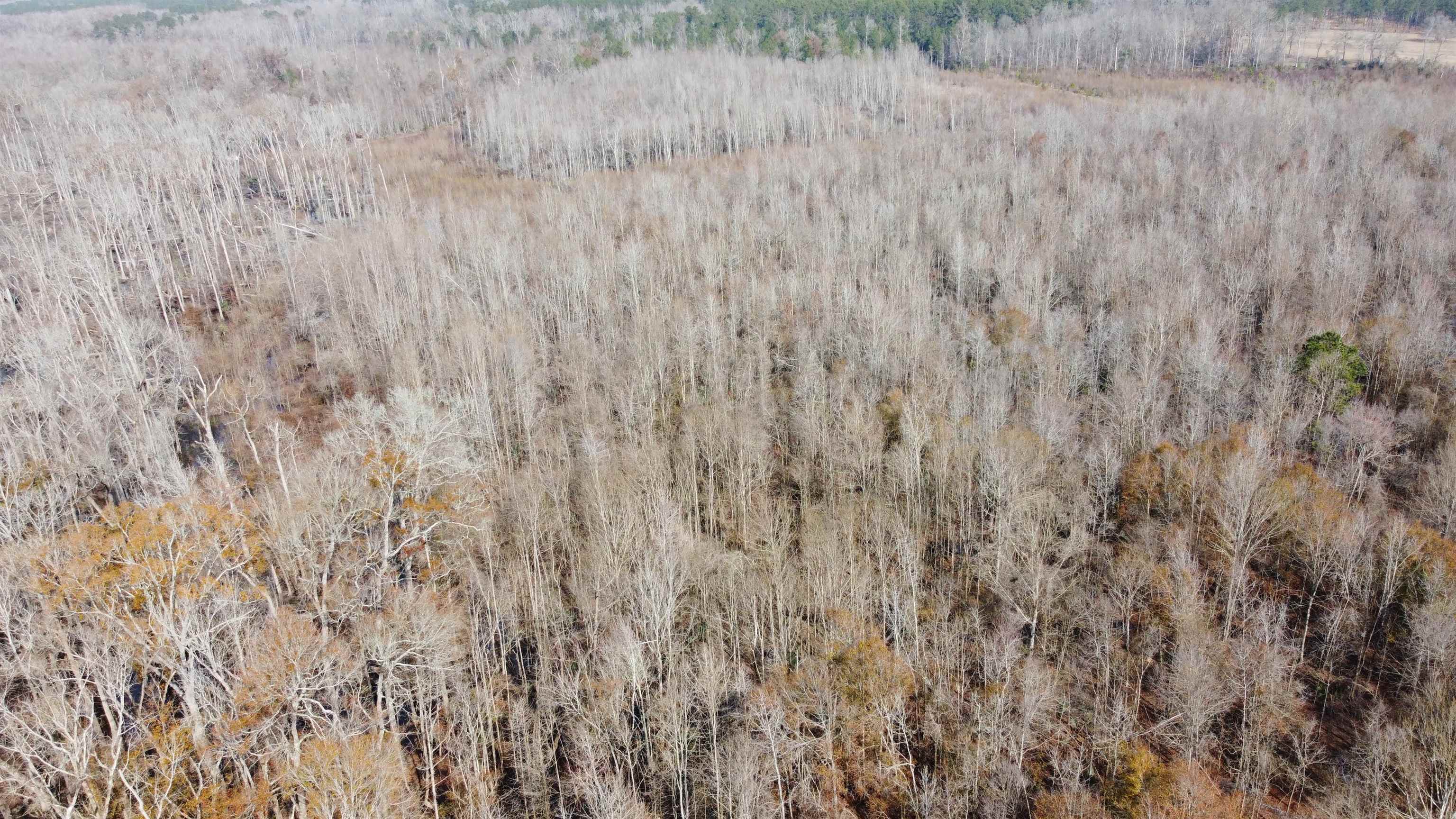 Tbd Hunters Chapel Rd Property Photo 14