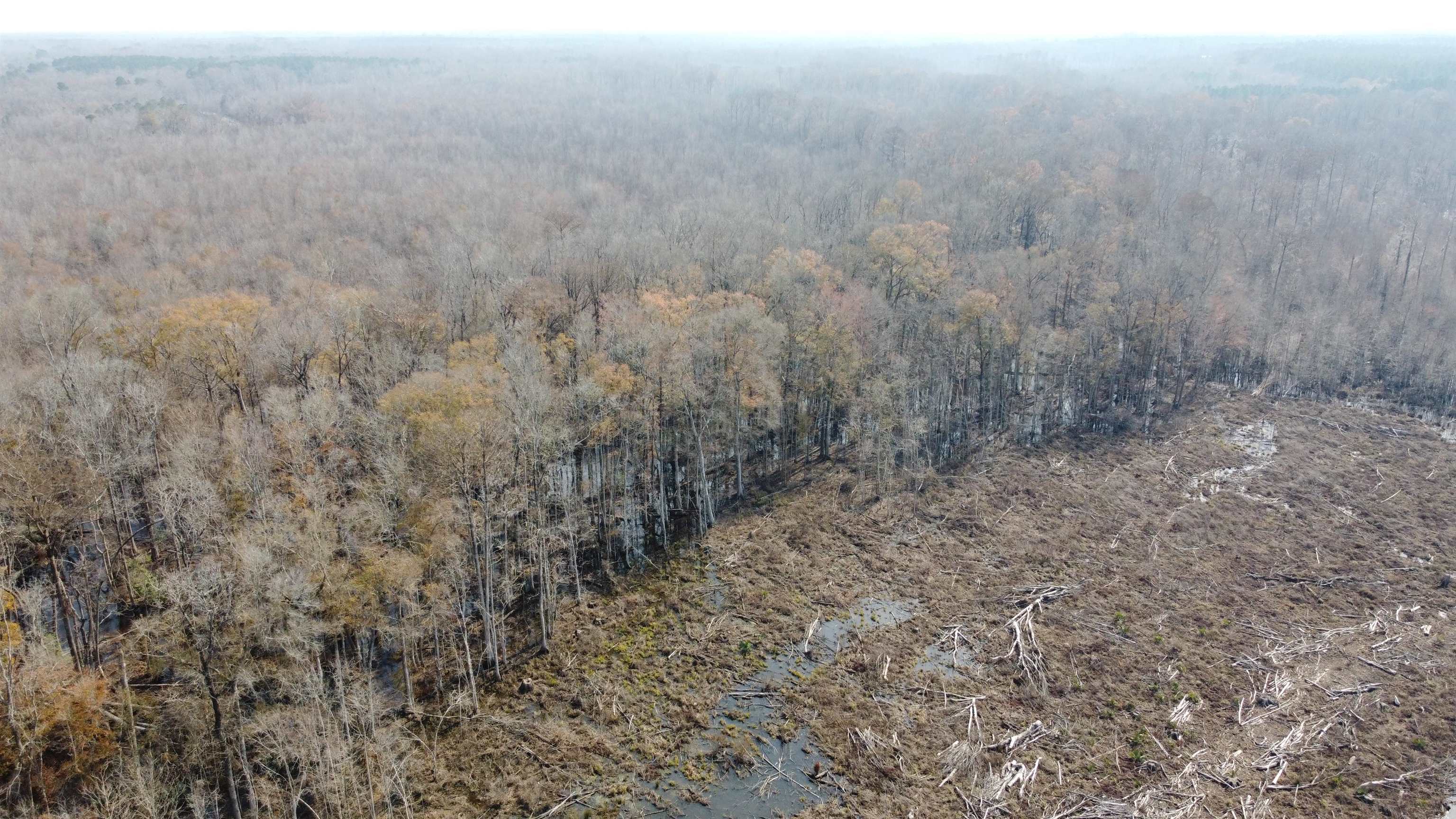 Tbd Hunters Chapel Rd Property Photo 15