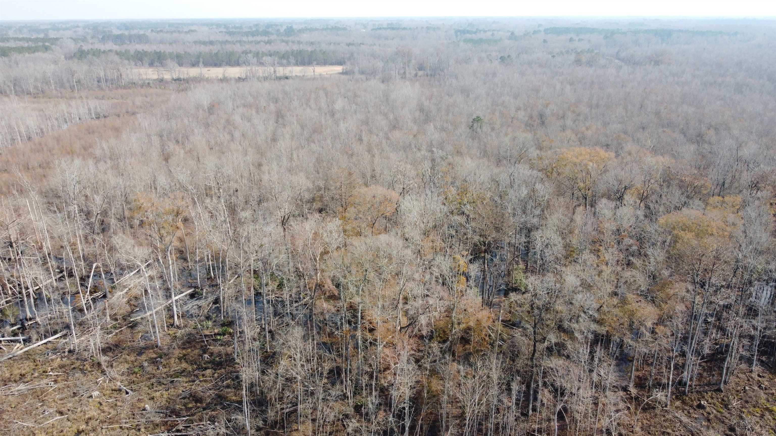 Tbd Hunters Chapel Rd Property Photo 16