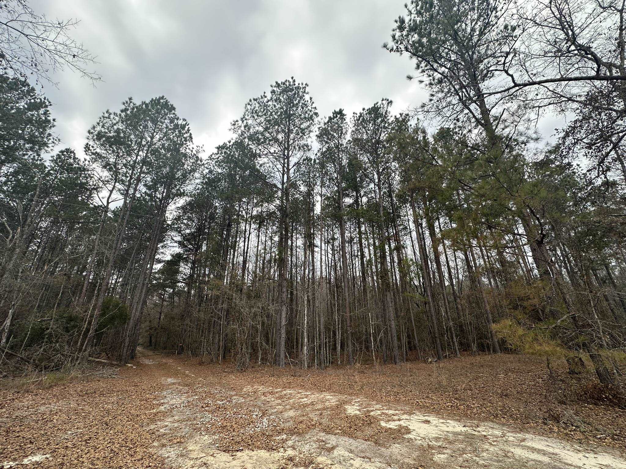 Tbd Hunters Chapel Rd Property Photo 20