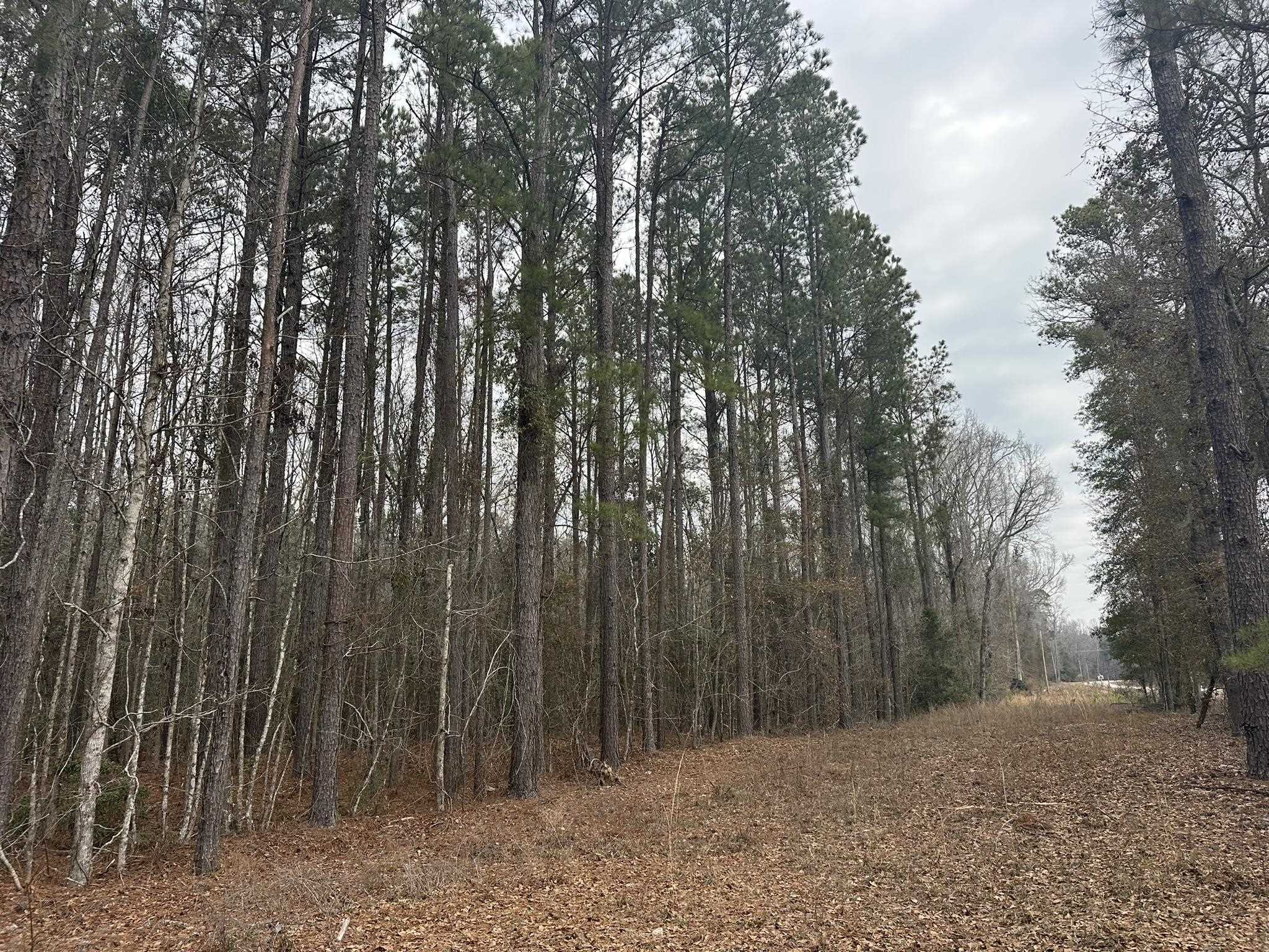 Tbd Hunters Chapel Rd Property Photo 21