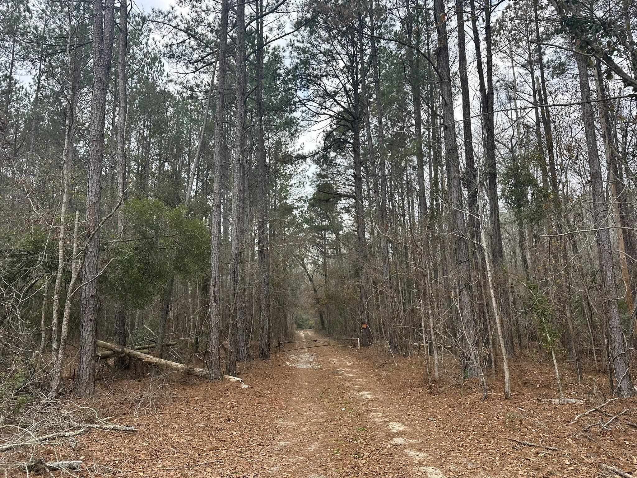 Tbd Hunters Chapel Rd Property Photo 22