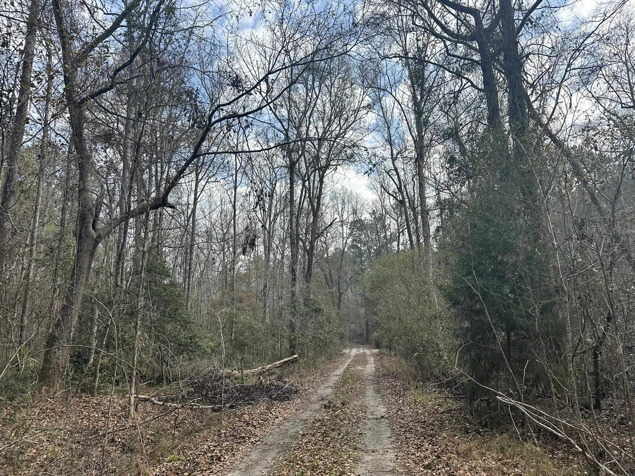 Tbd Hunters Chapel Rd Property Photo 23