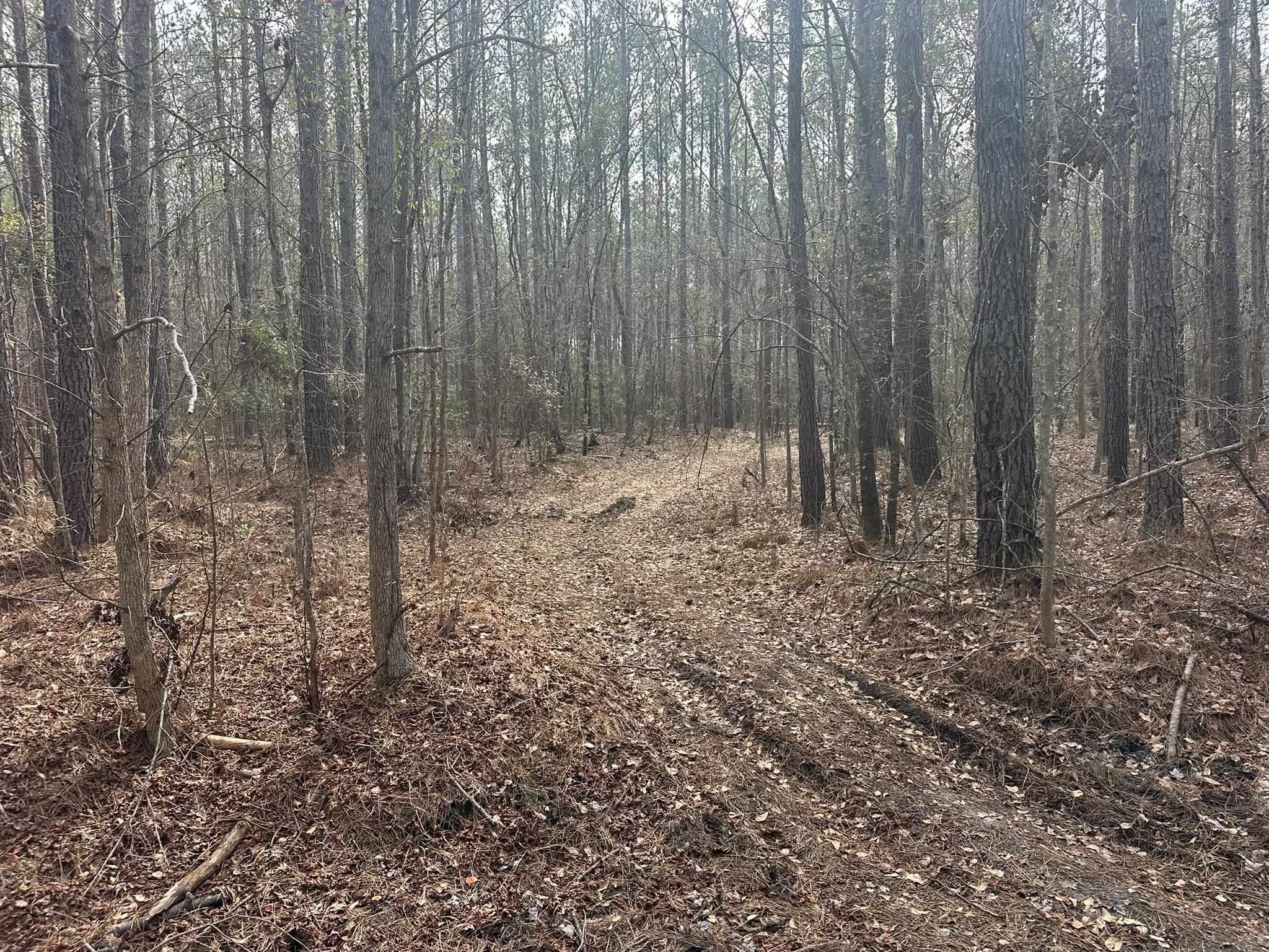 Tbd Hunters Chapel Rd Property Photo 25