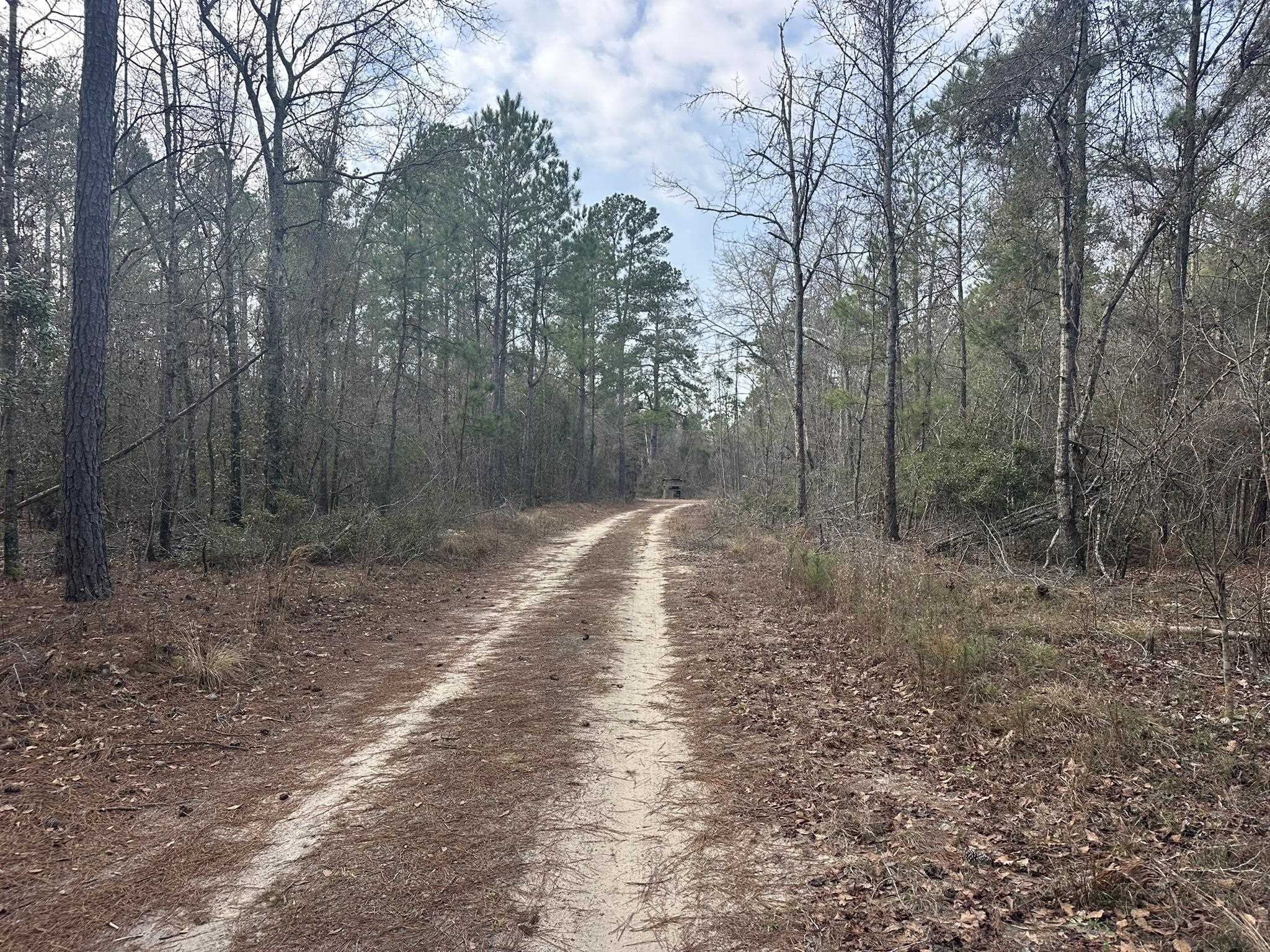 Tbd Hunters Chapel Rd Property Photo 27
