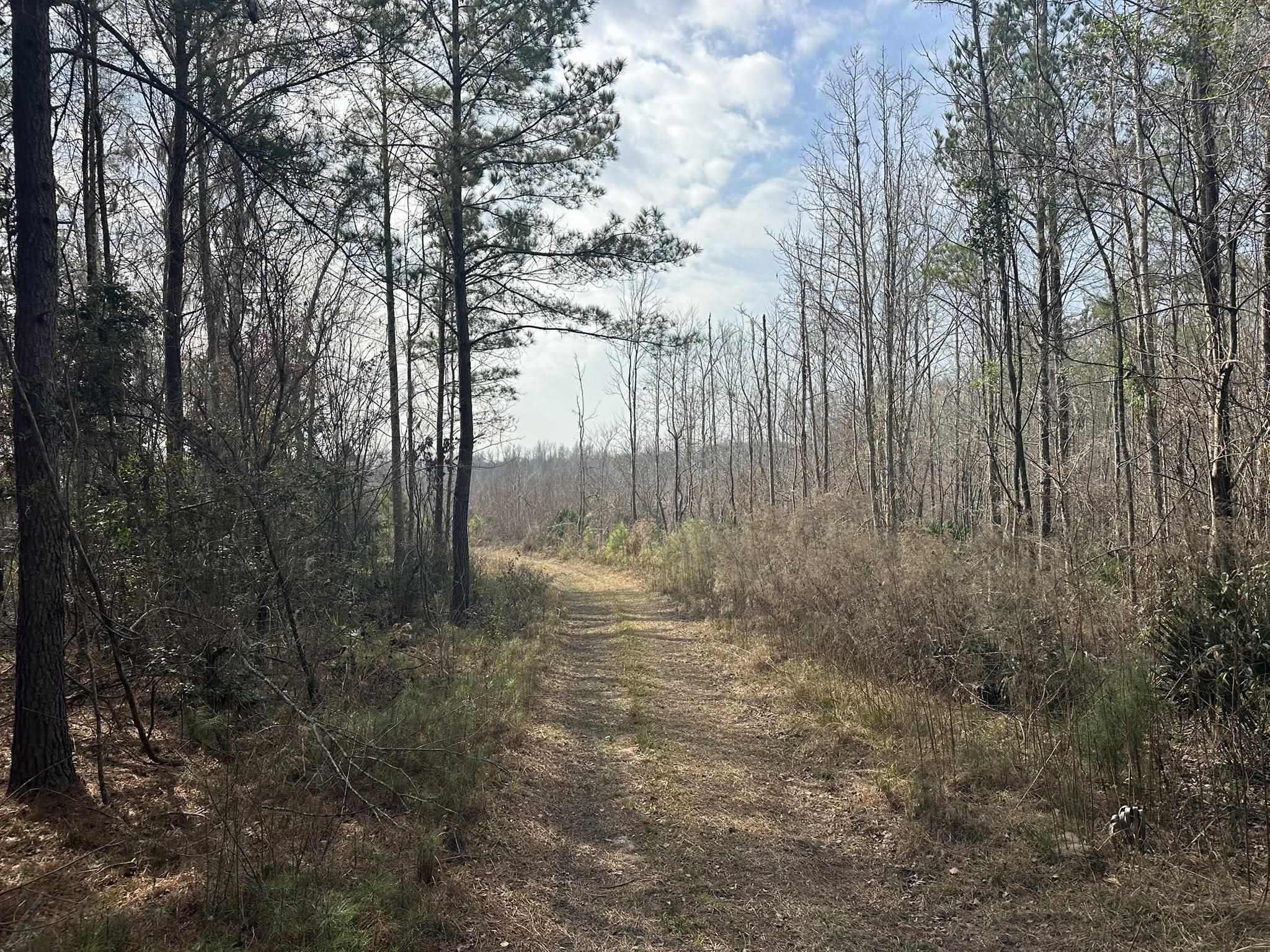 Tbd Hunters Chapel Rd Property Photo 28