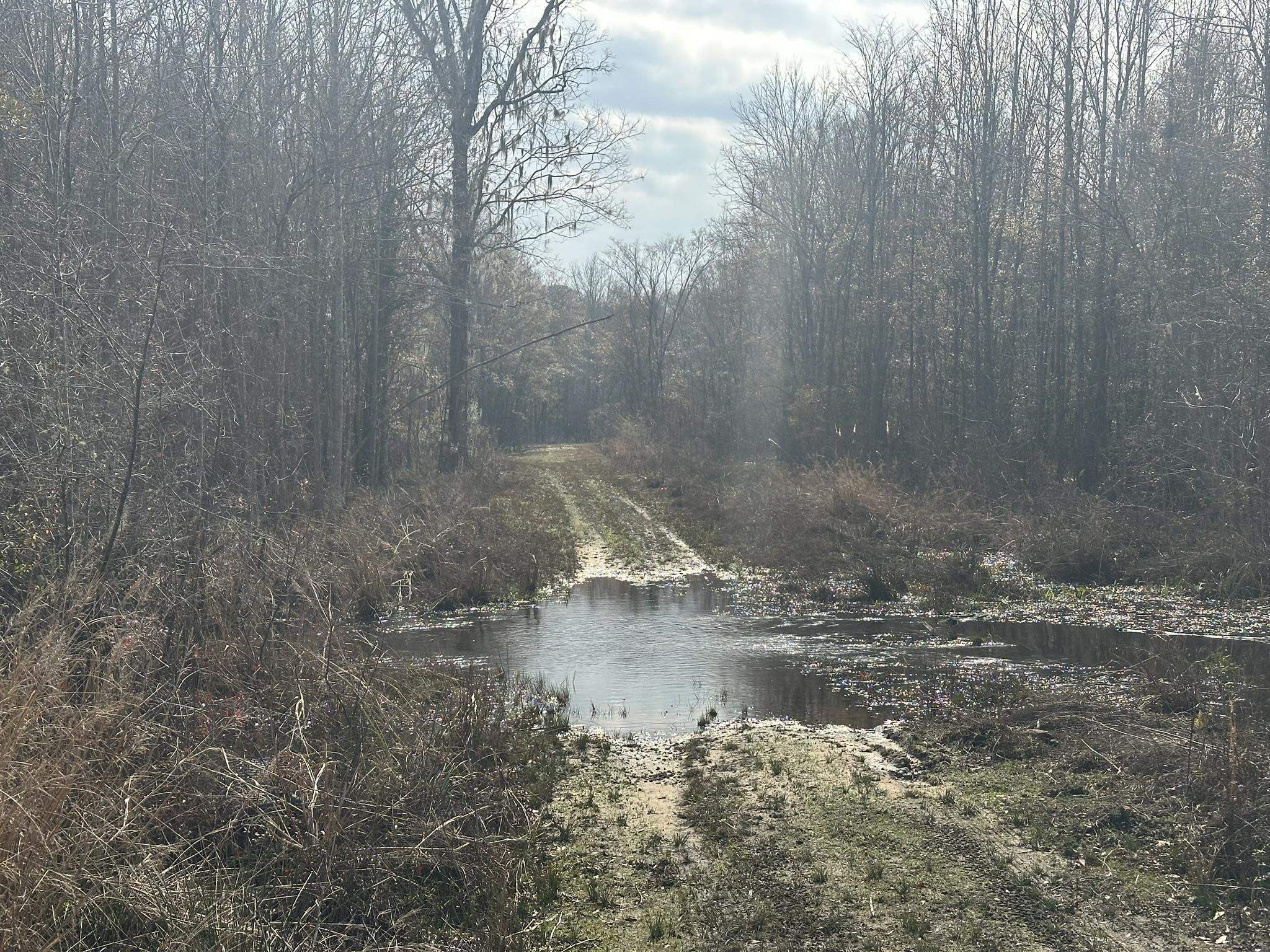 Tbd Hunters Chapel Rd Property Photo 30