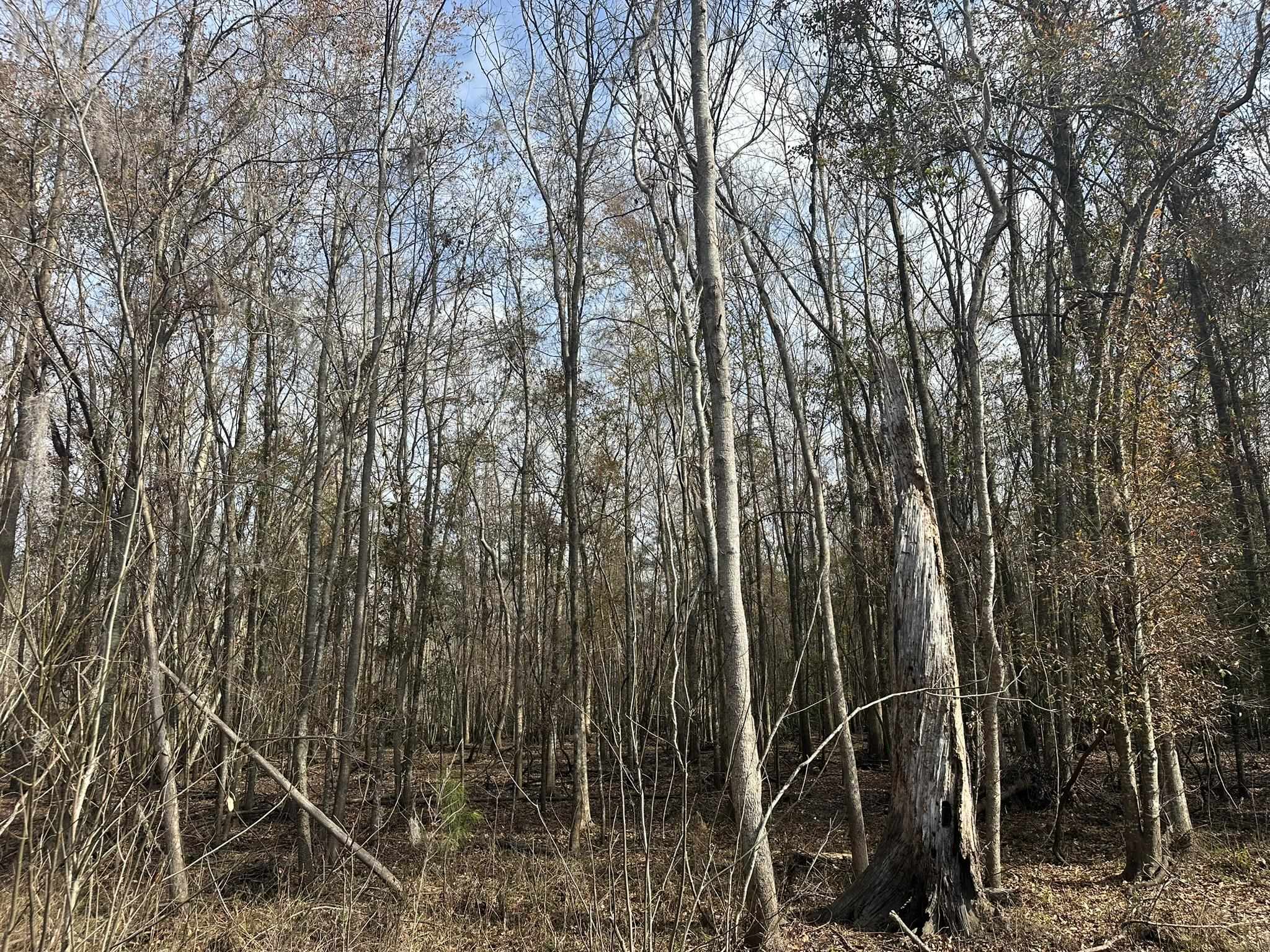 Tbd Hunters Chapel Rd Property Photo 31