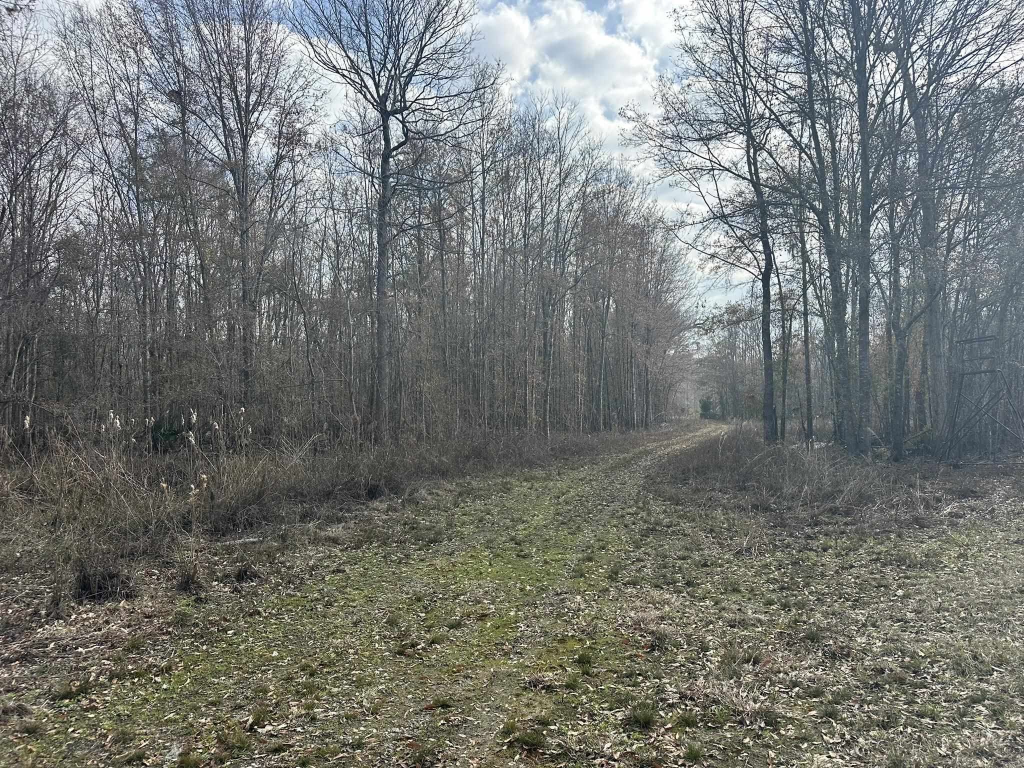 Tbd Hunters Chapel Rd Property Photo 32
