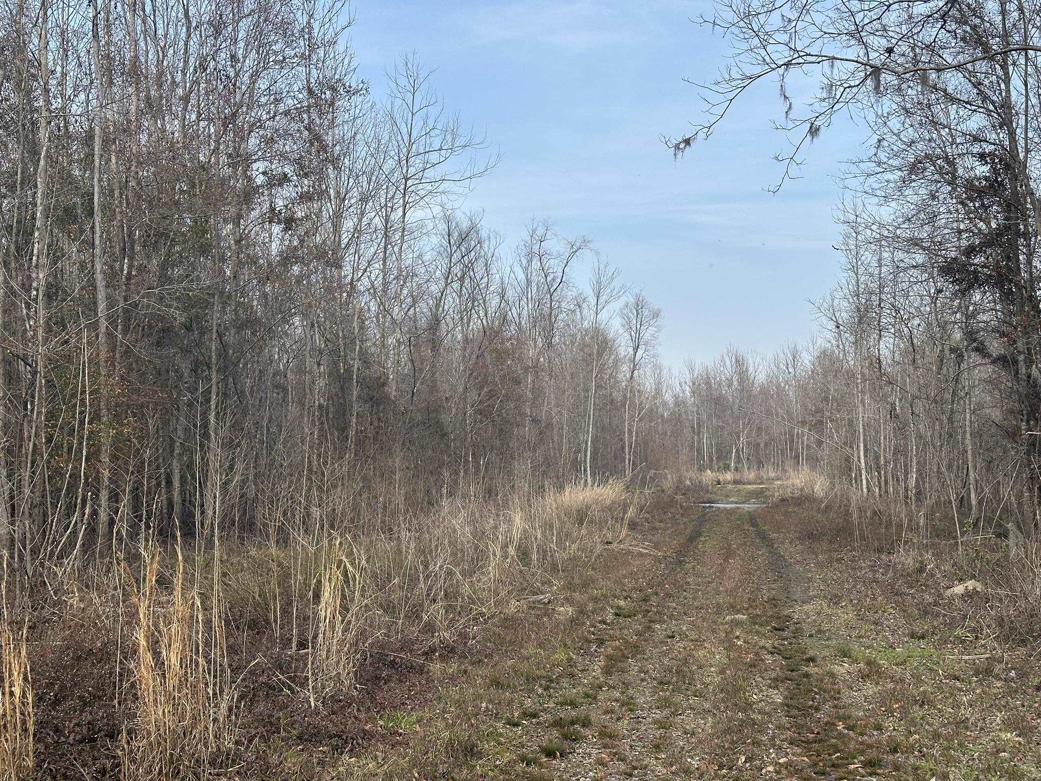 Tbd Hunters Chapel Rd Property Photo 33