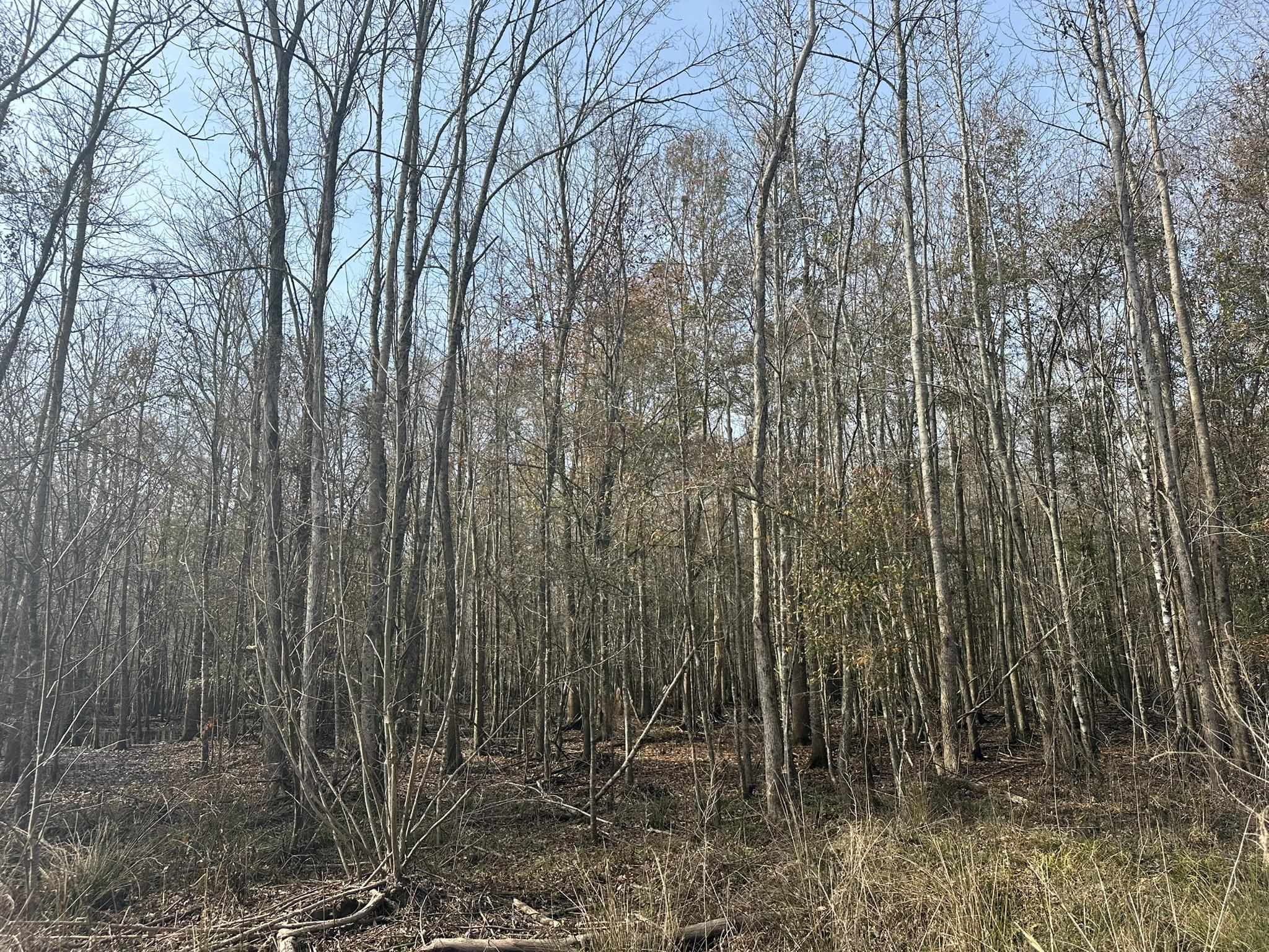 Tbd Hunters Chapel Rd Property Photo 34