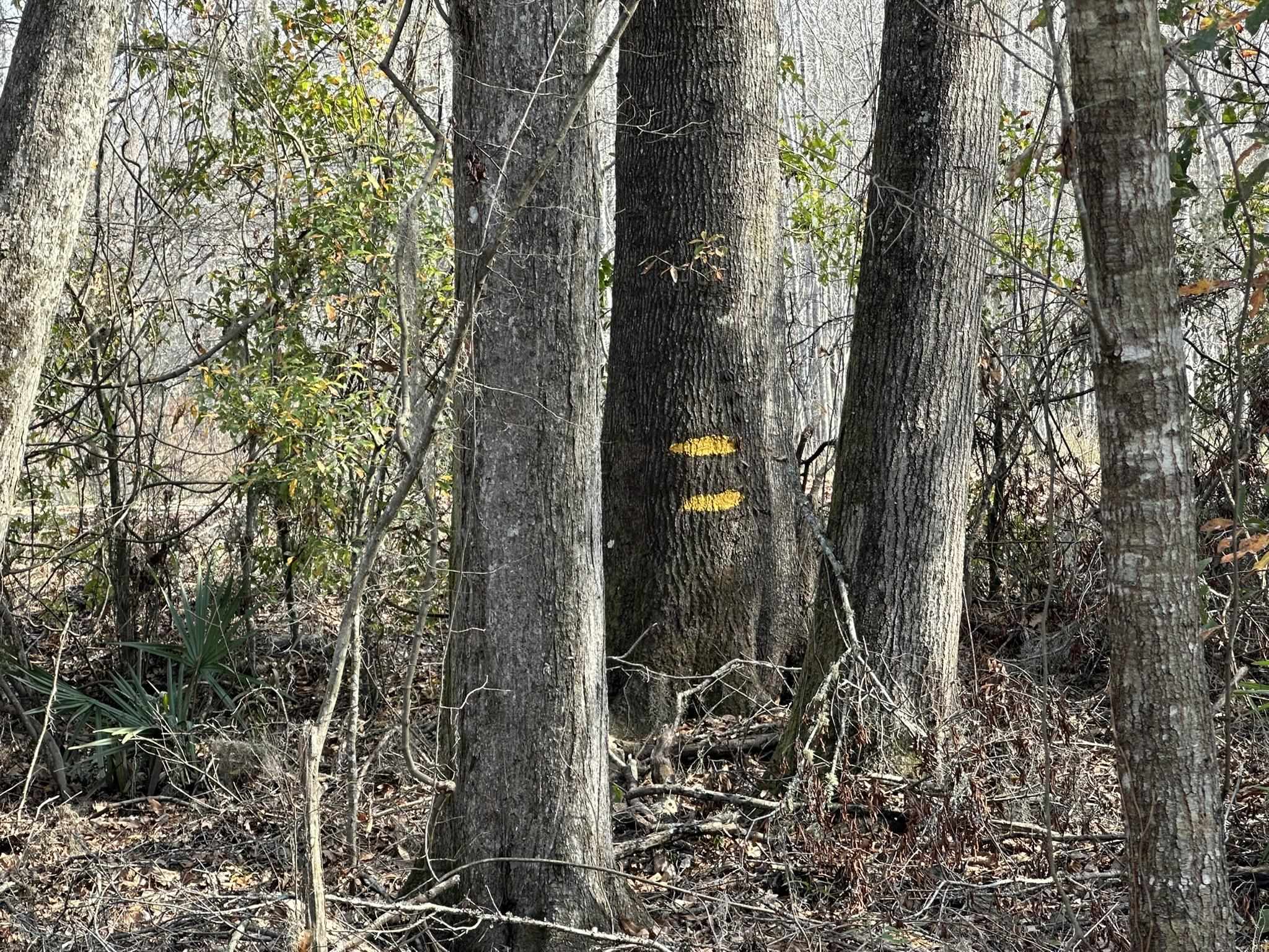 Tbd Hunters Chapel Rd Property Photo 35