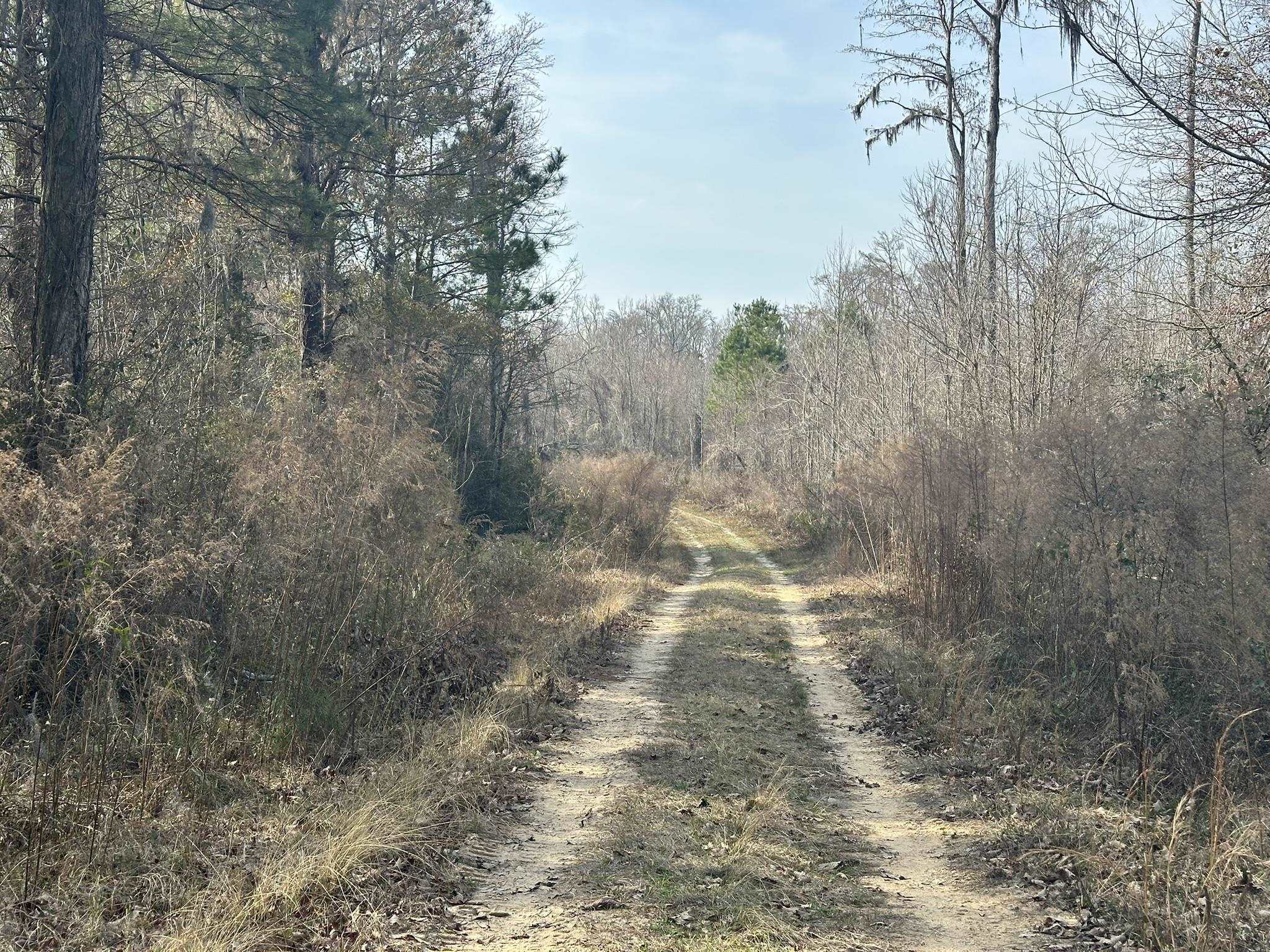 Tbd Hunters Chapel Rd Property Photo 36