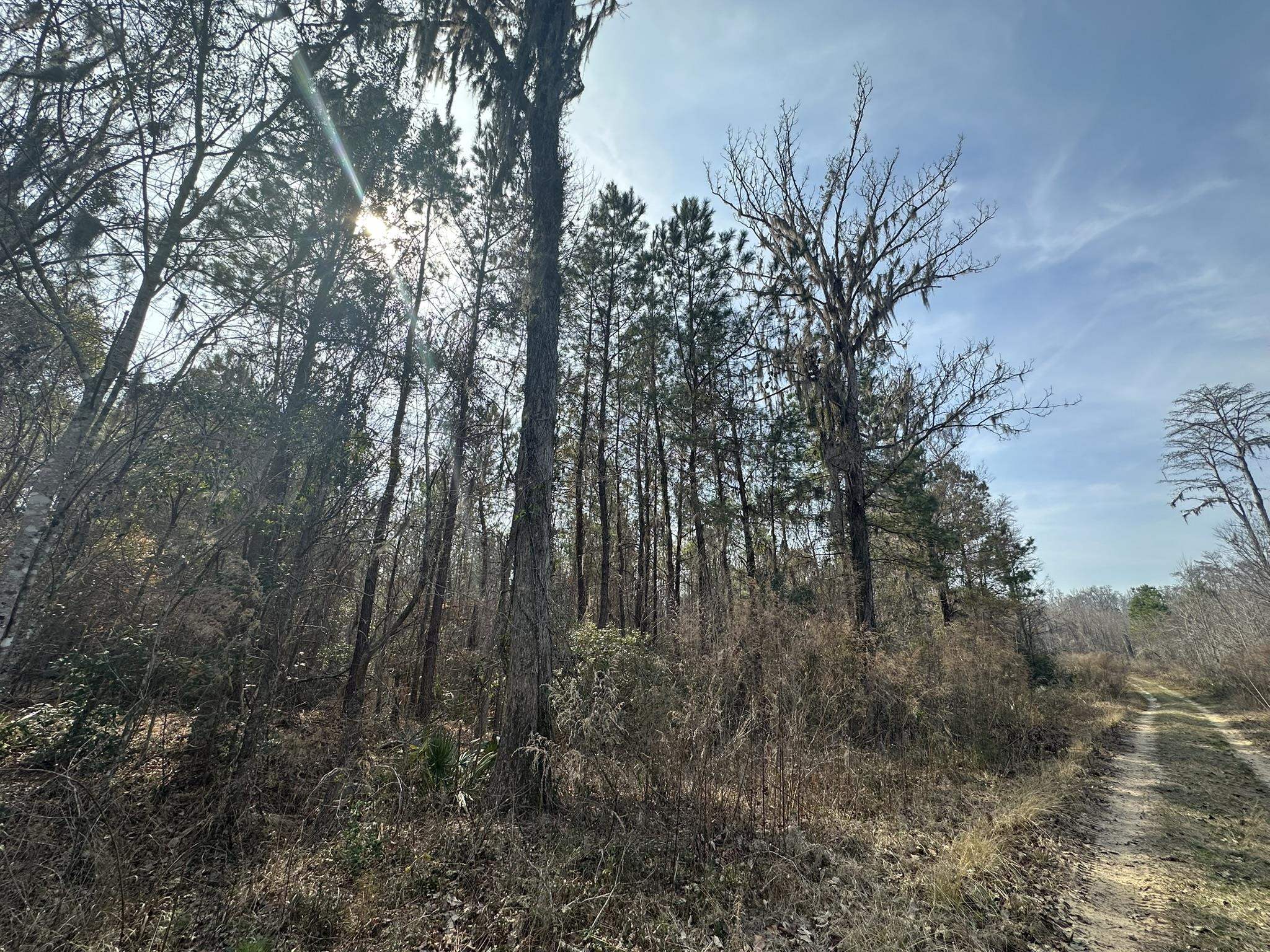 Tbd Hunters Chapel Rd Property Photo 37