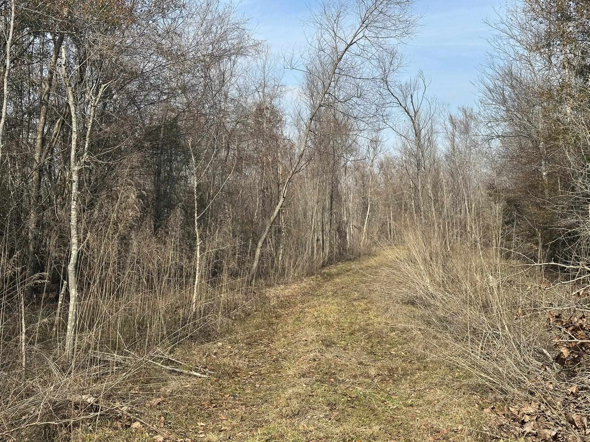 Tbd Hunters Chapel Rd Property Photo 38
