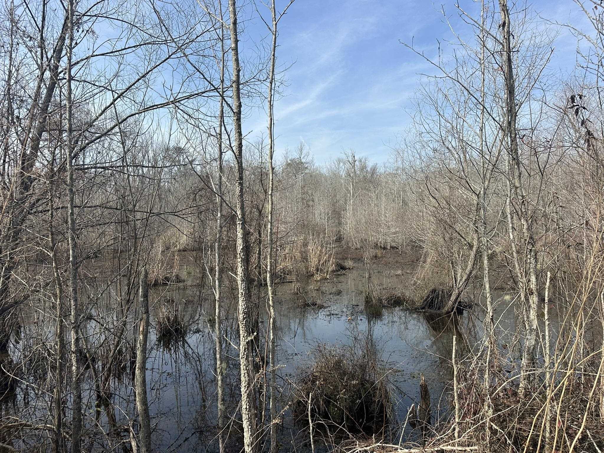 Tbd Hunters Chapel Rd Property Photo 39