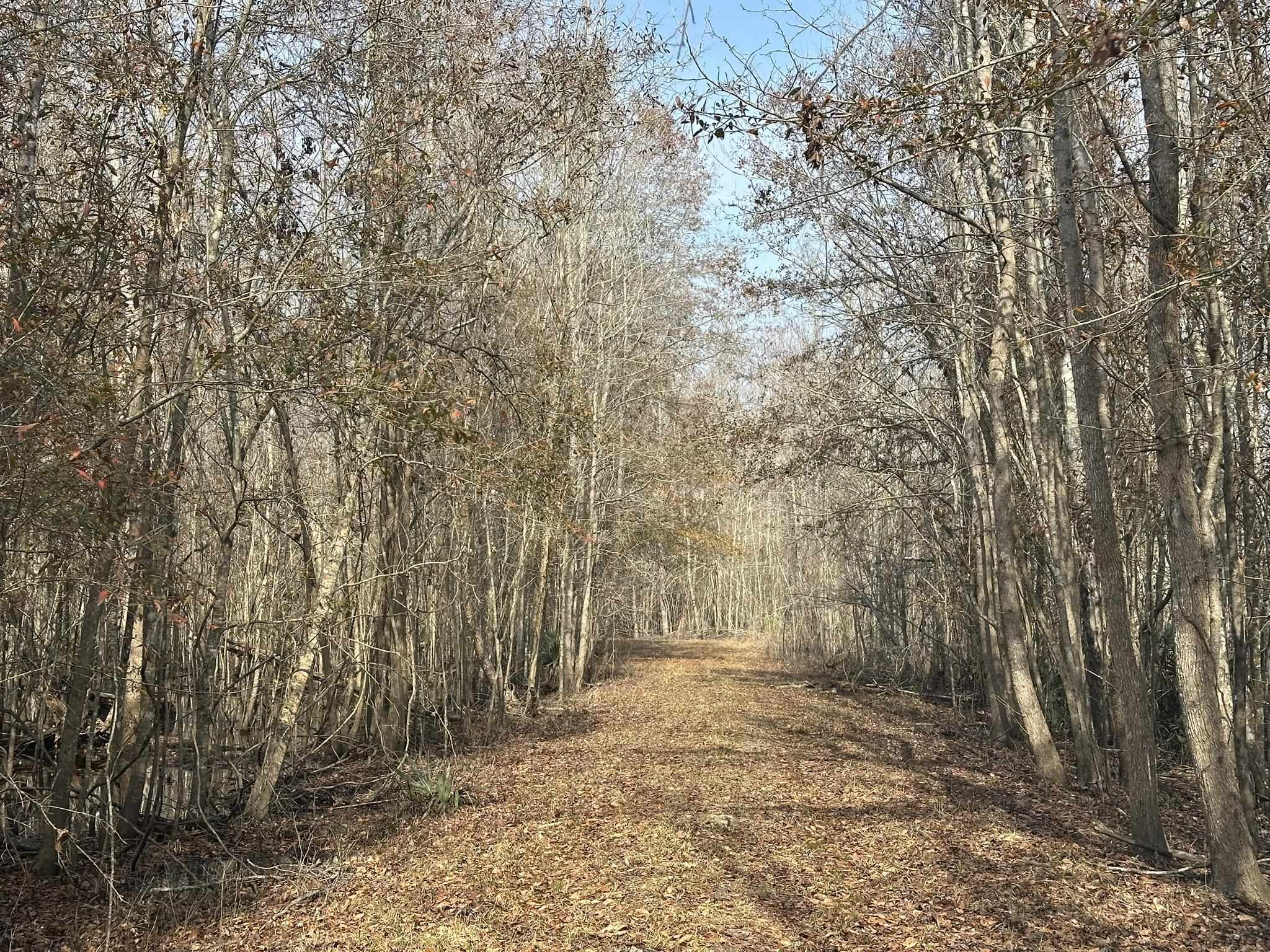 Tbd Hunters Chapel Rd Property Photo 40