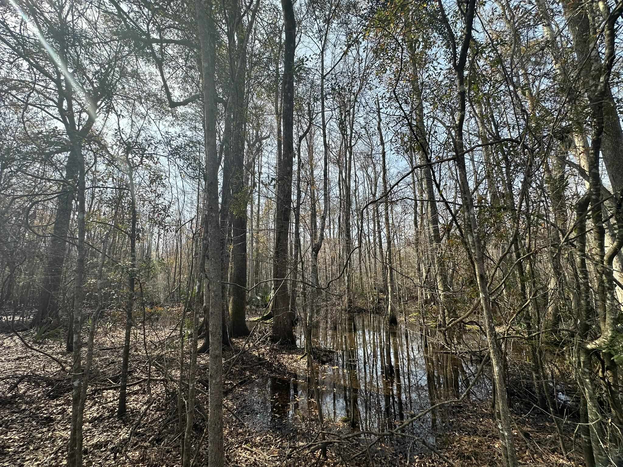 Tbd Hunters Chapel Rd Property Photo 41