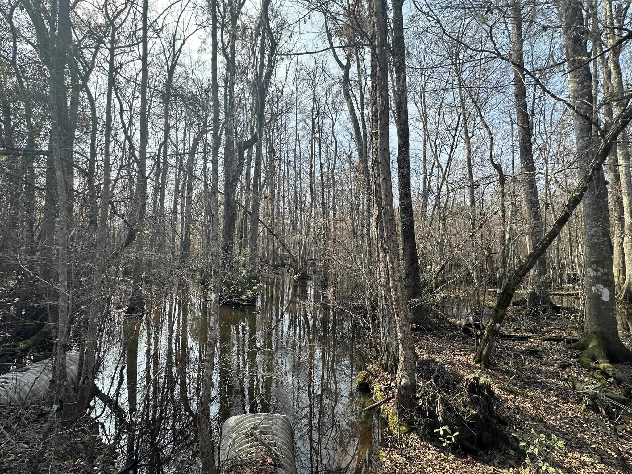 Tbd Hunters Chapel Rd Property Photo 42