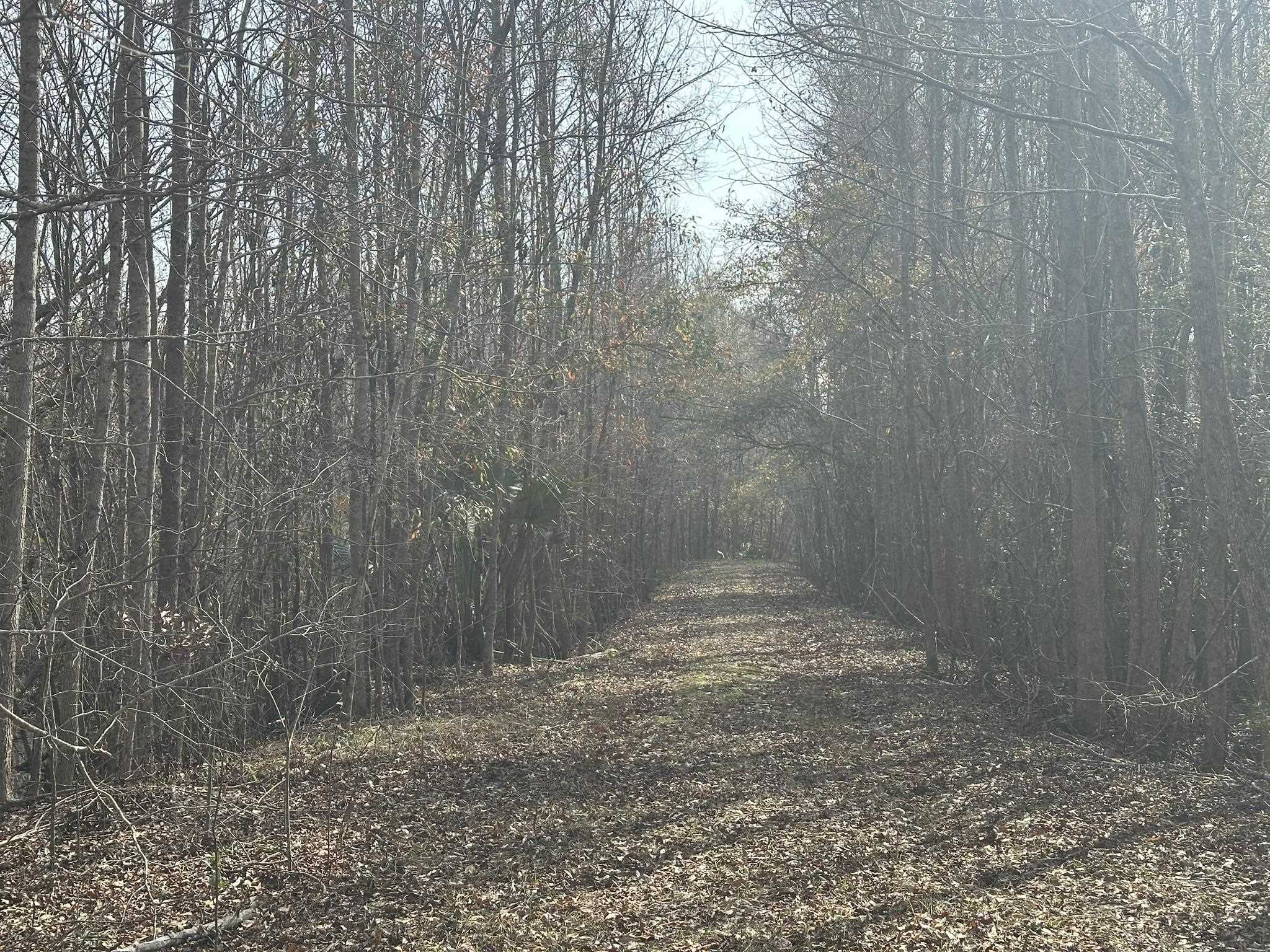 Tbd Hunters Chapel Rd Property Photo 43