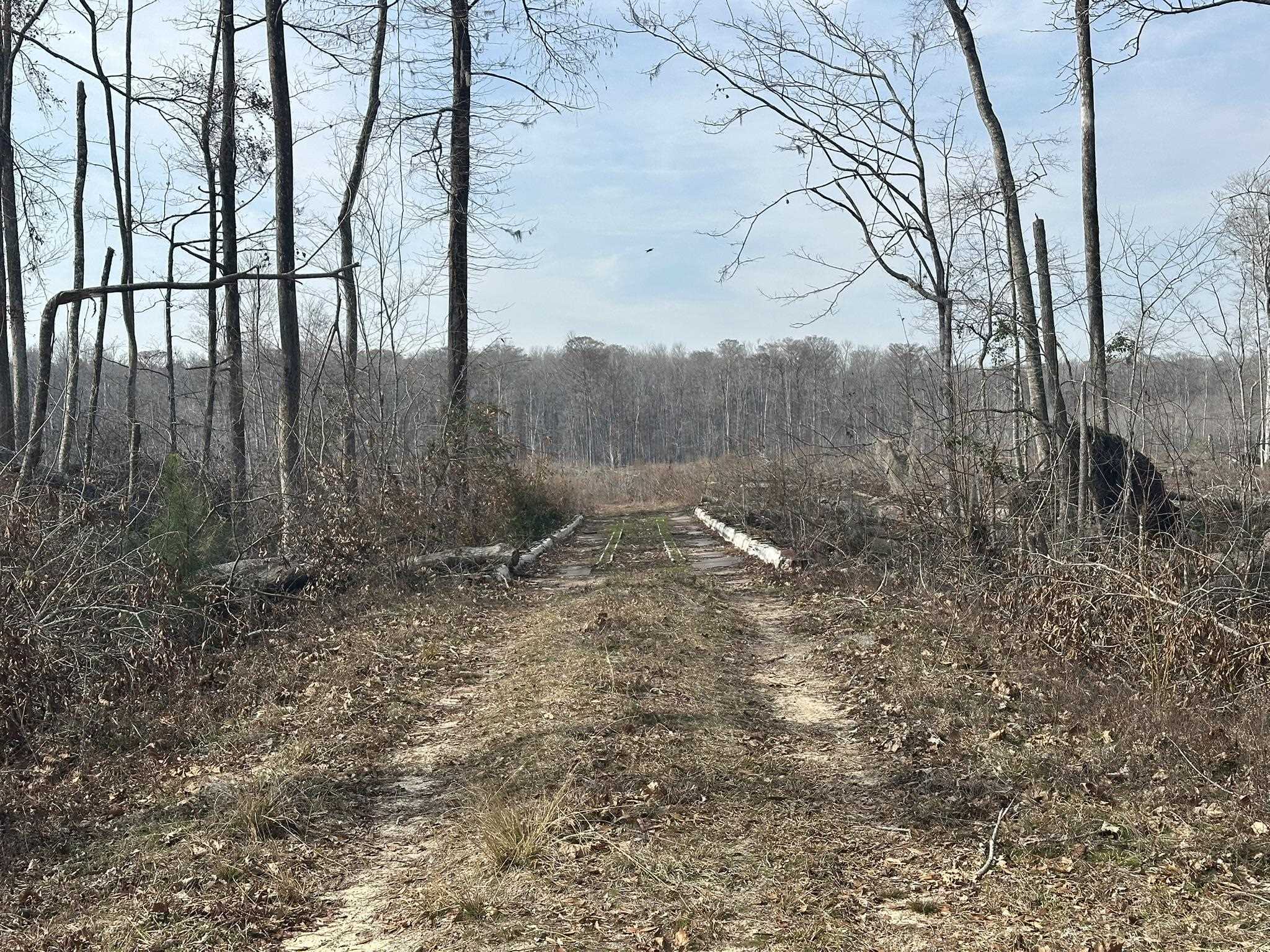 Tbd Hunters Chapel Rd Property Photo 44