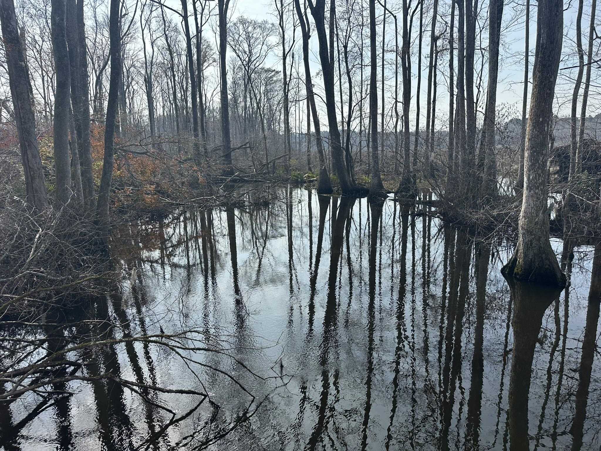 Tbd Hunters Chapel Rd Property Photo 46